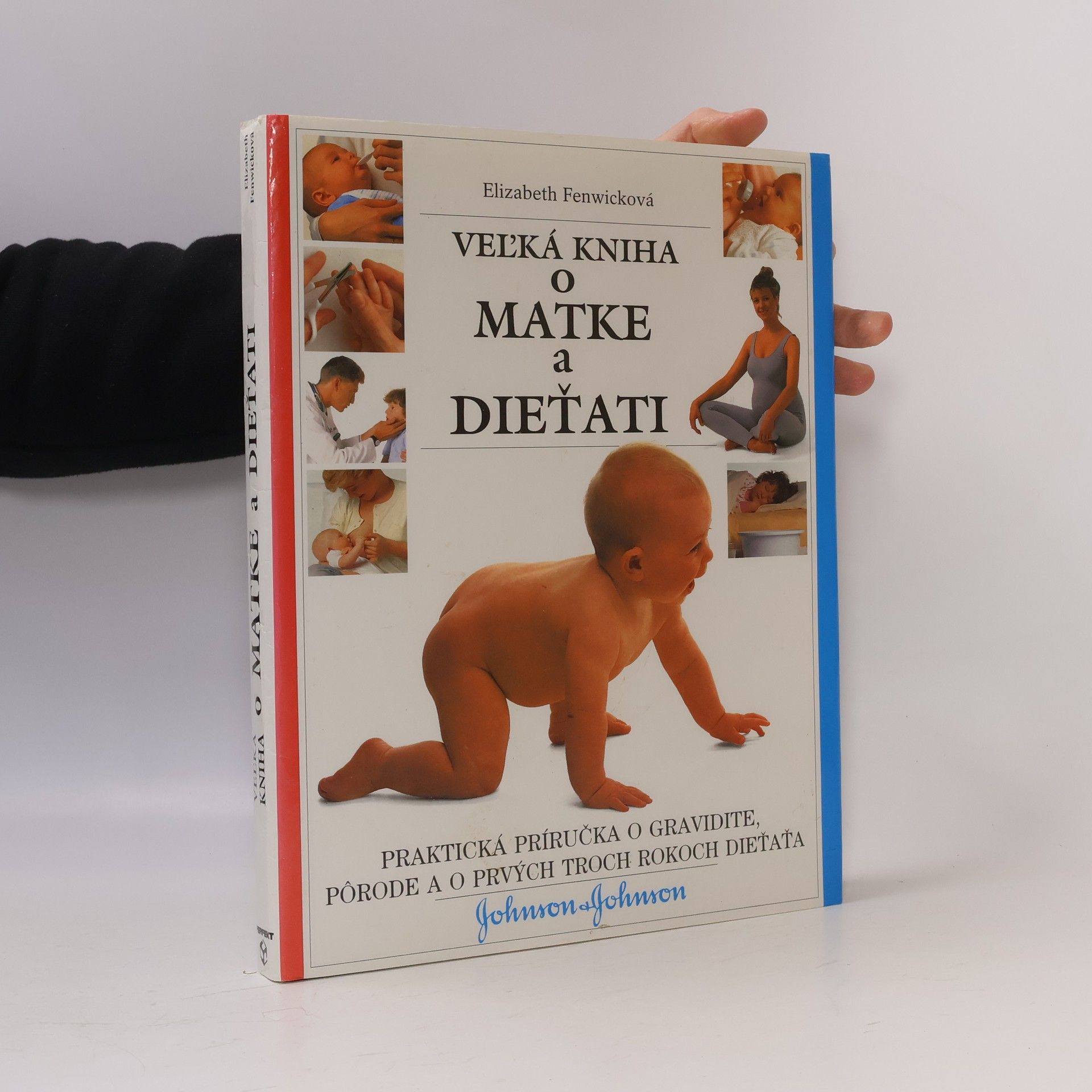 Elizabeth Fenwick Veľká kniha o matke a dieťati