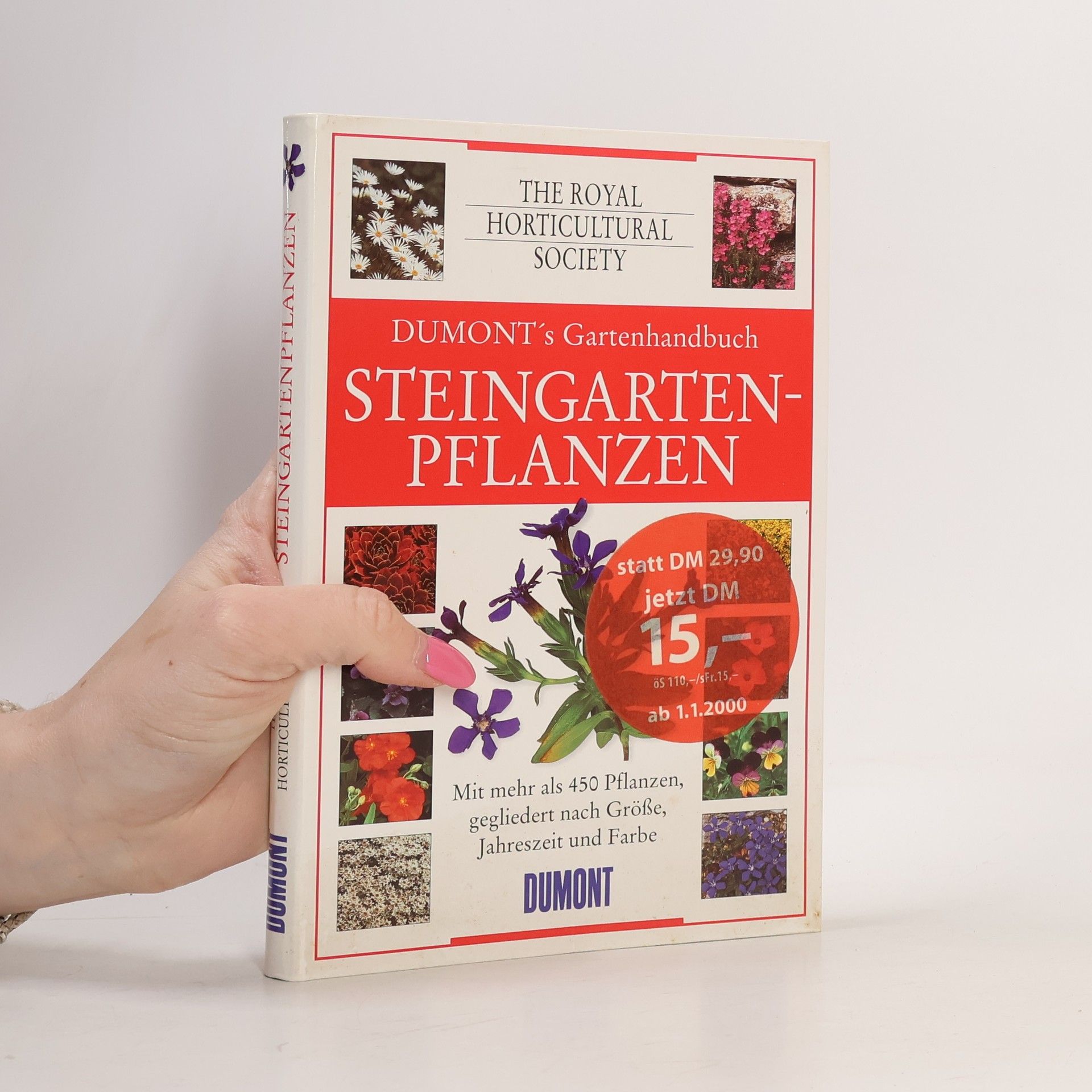 Harda Kuwer Steingartenpflanzen