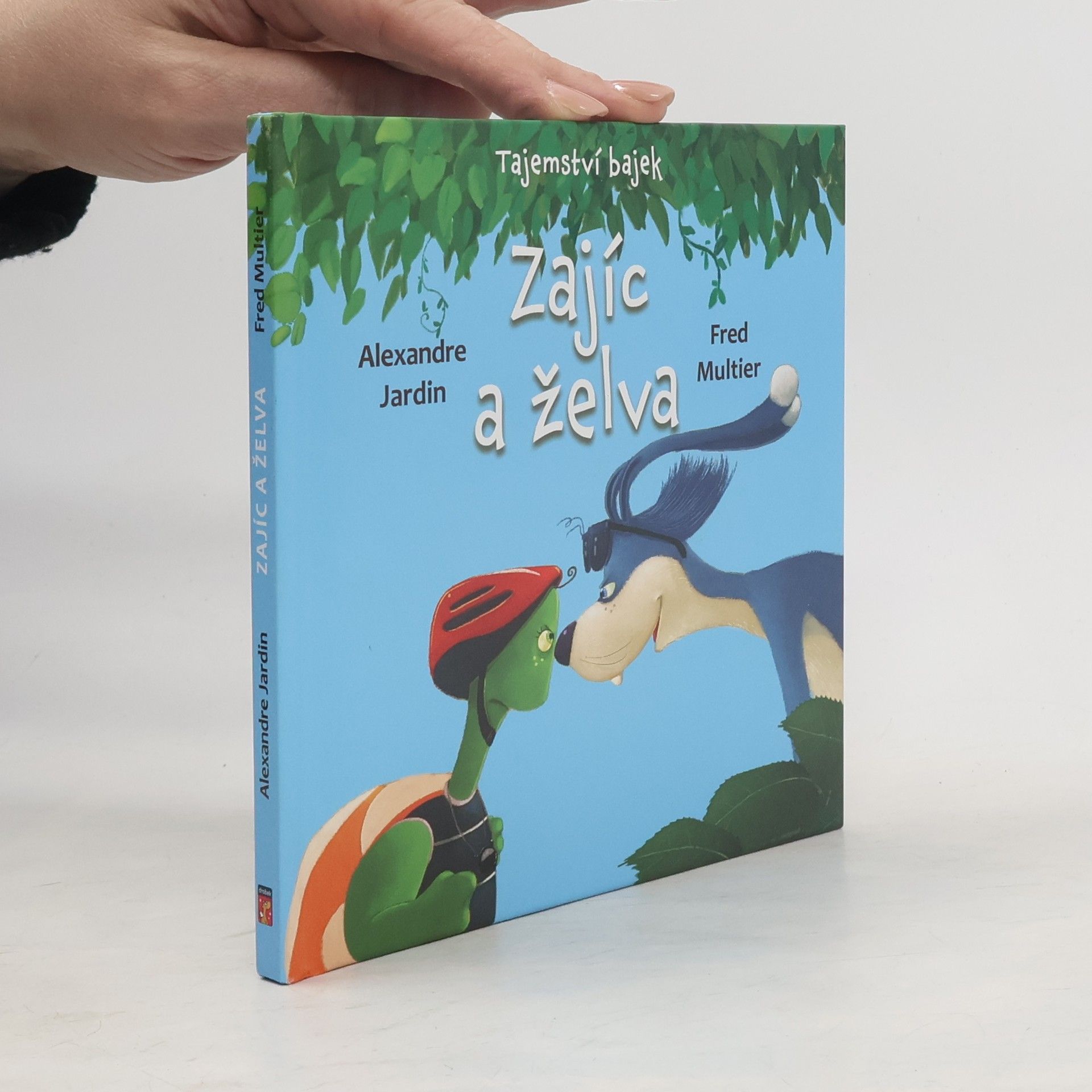 Alexandre Jardin Zajíc a želva