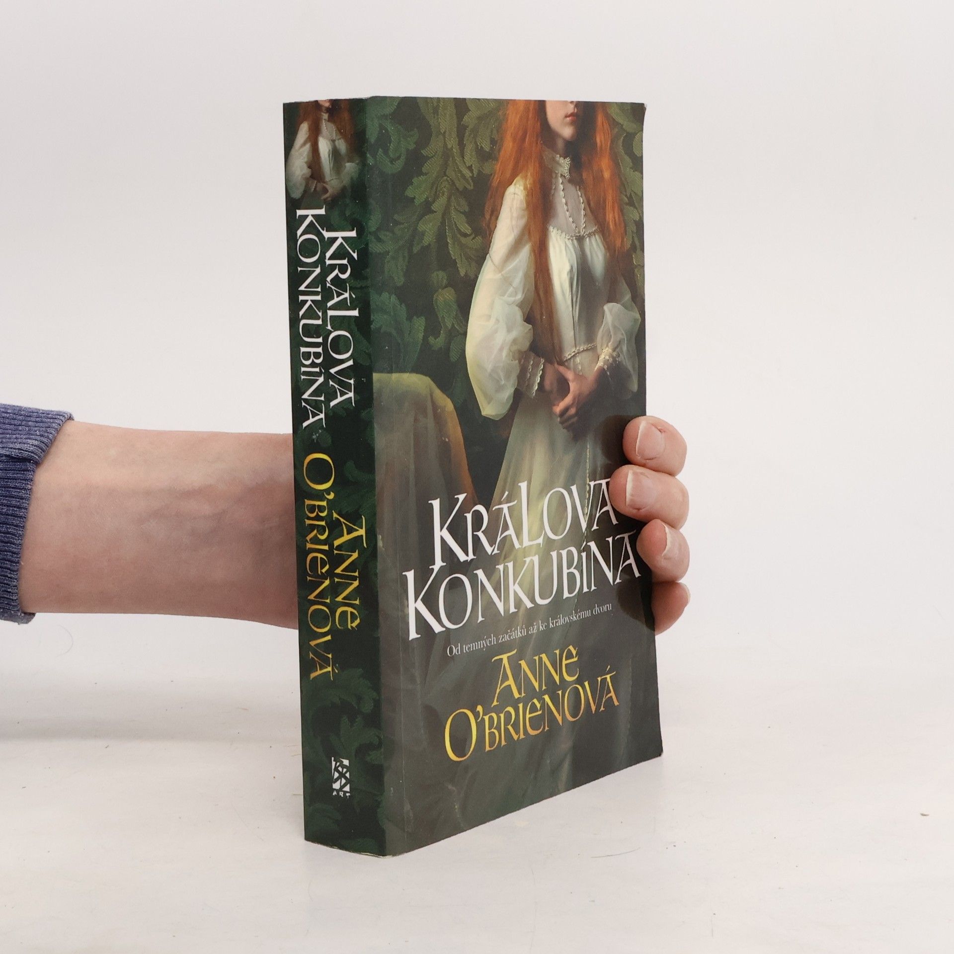 Anne O. Brien Králova konkubína