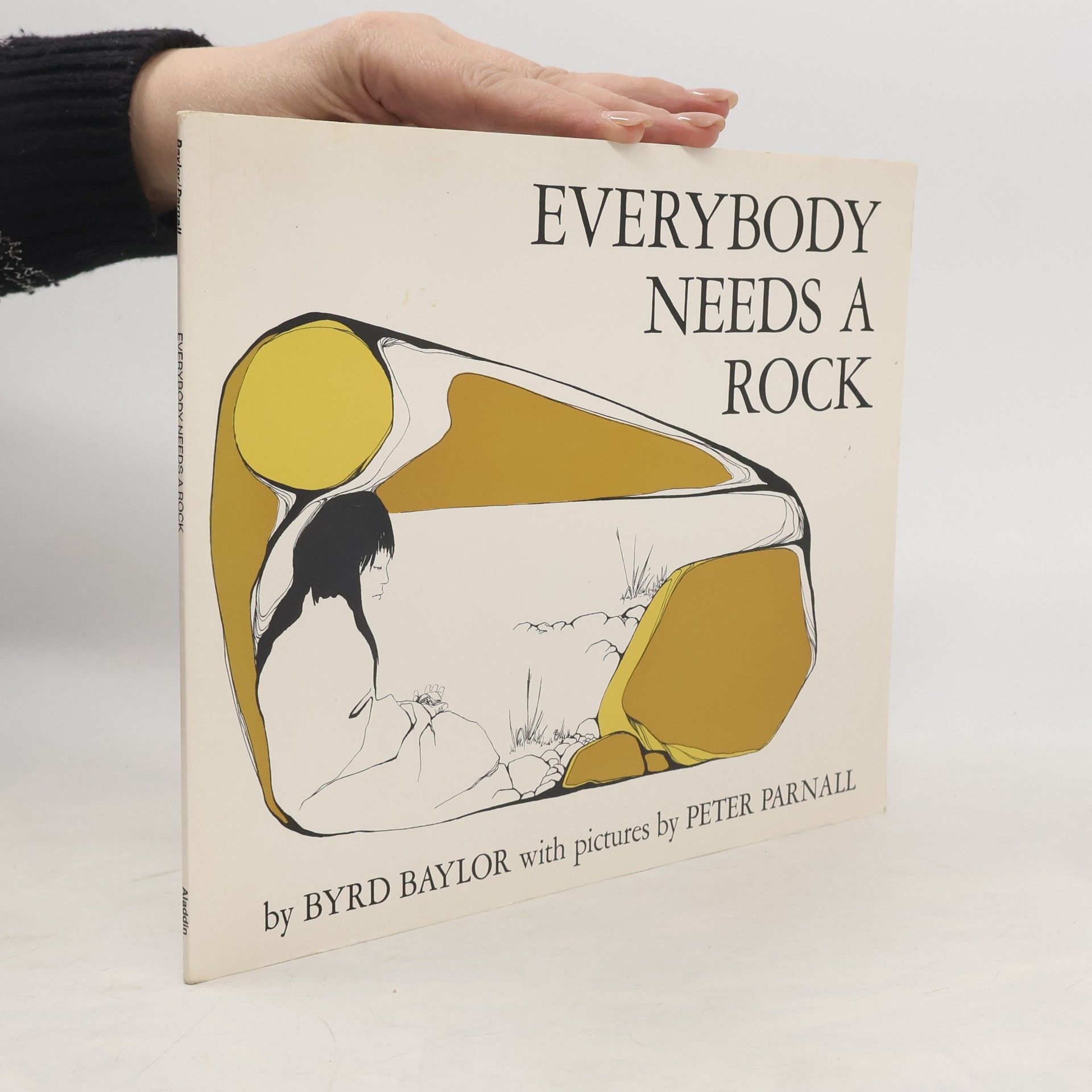 Everybody Needs a Rock