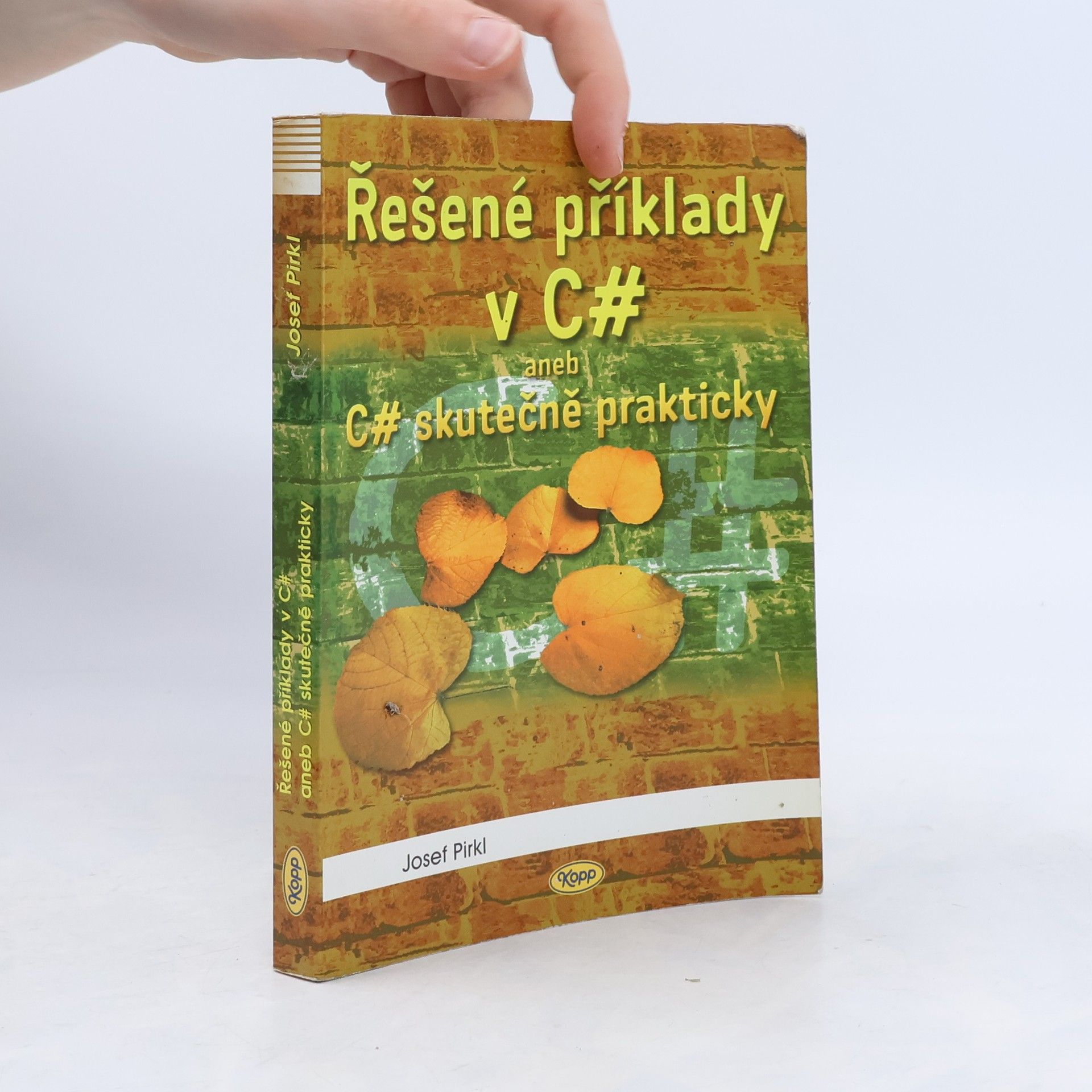 Řešené příklady v C# aneb C# skutečně prakticky