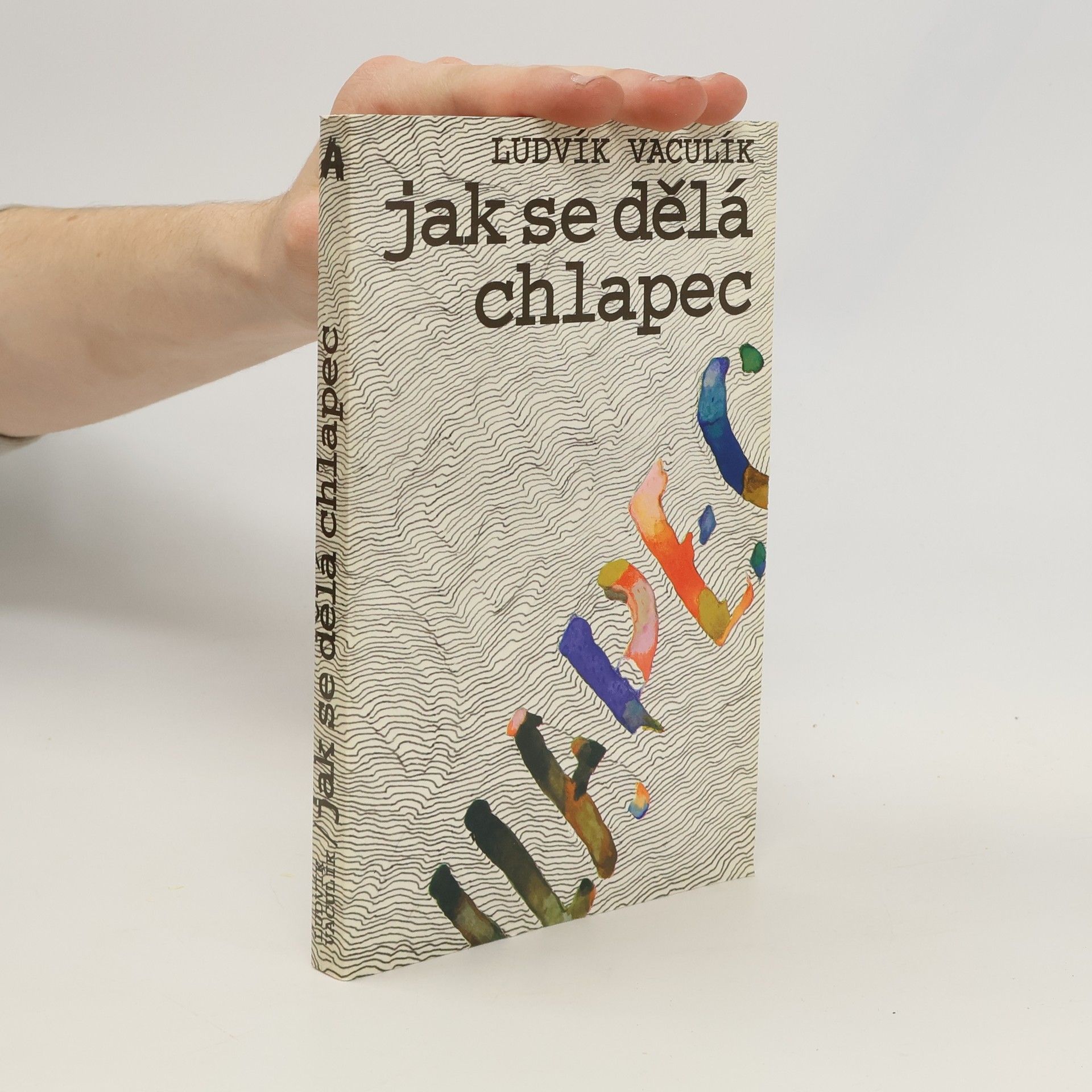 Ludvík Vaculík Jak se dělá chlapec