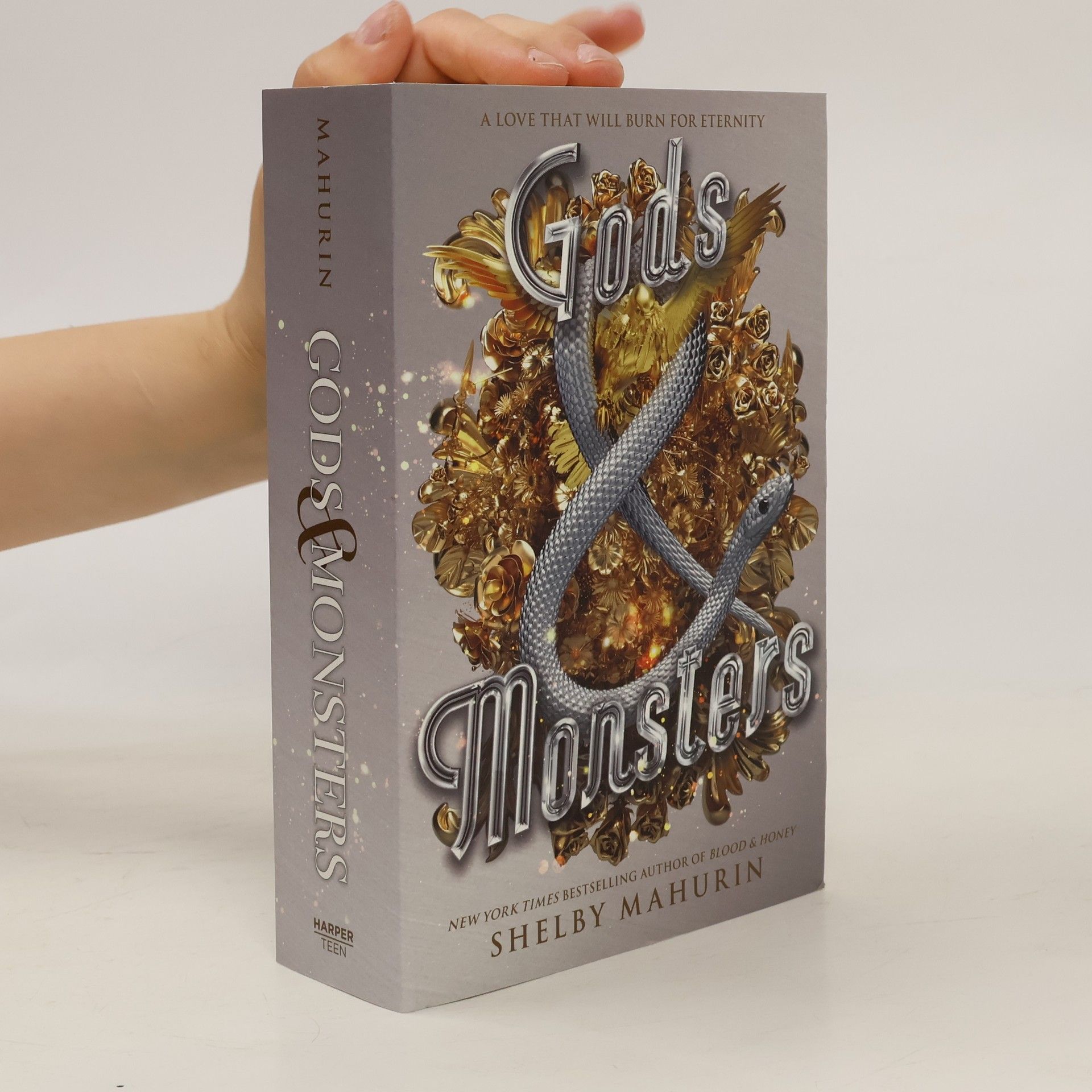 Shelby Mahurinová Gods and Monsters