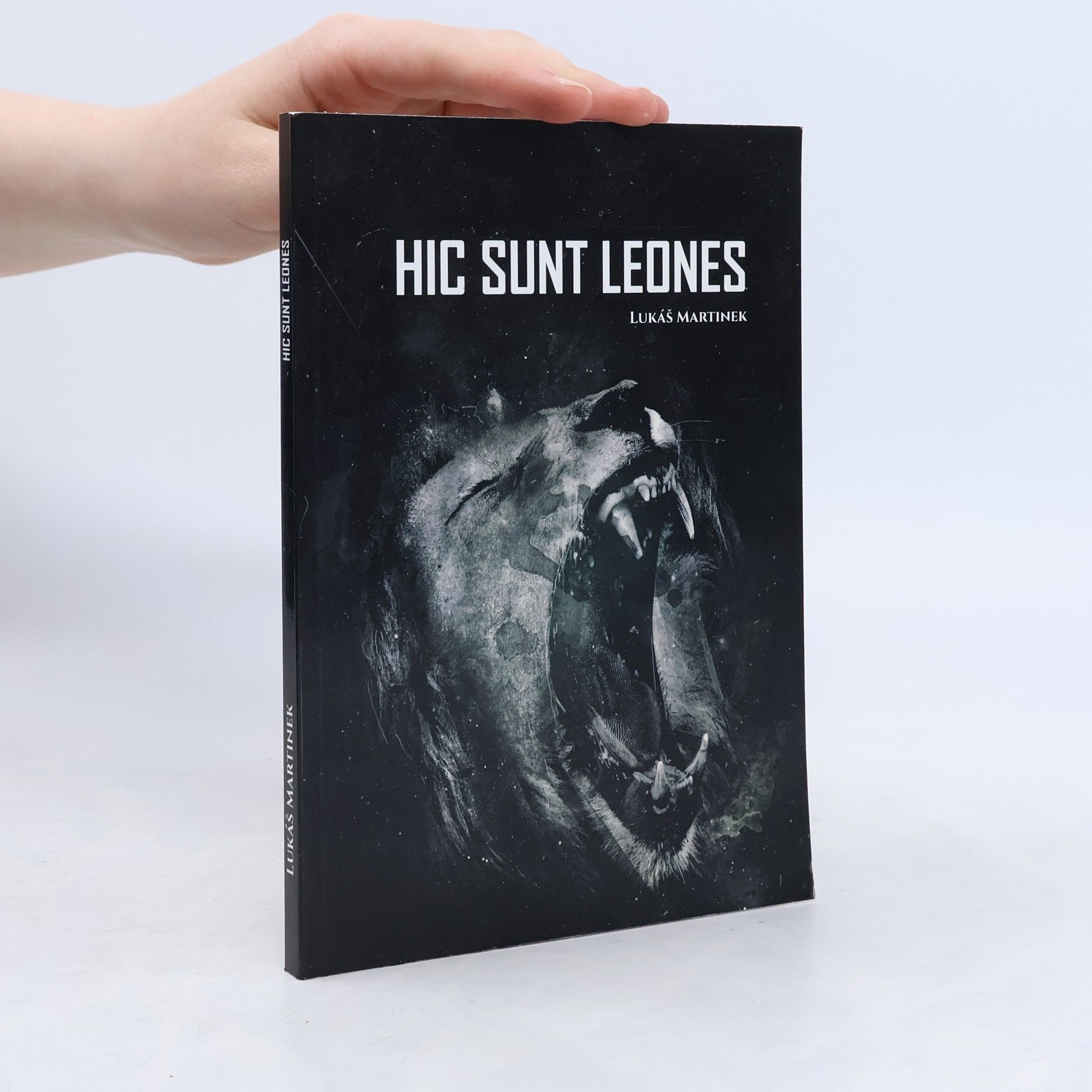 Lukáš Martinek Hic Sunt Leones: Z chudoby až na střechu světa