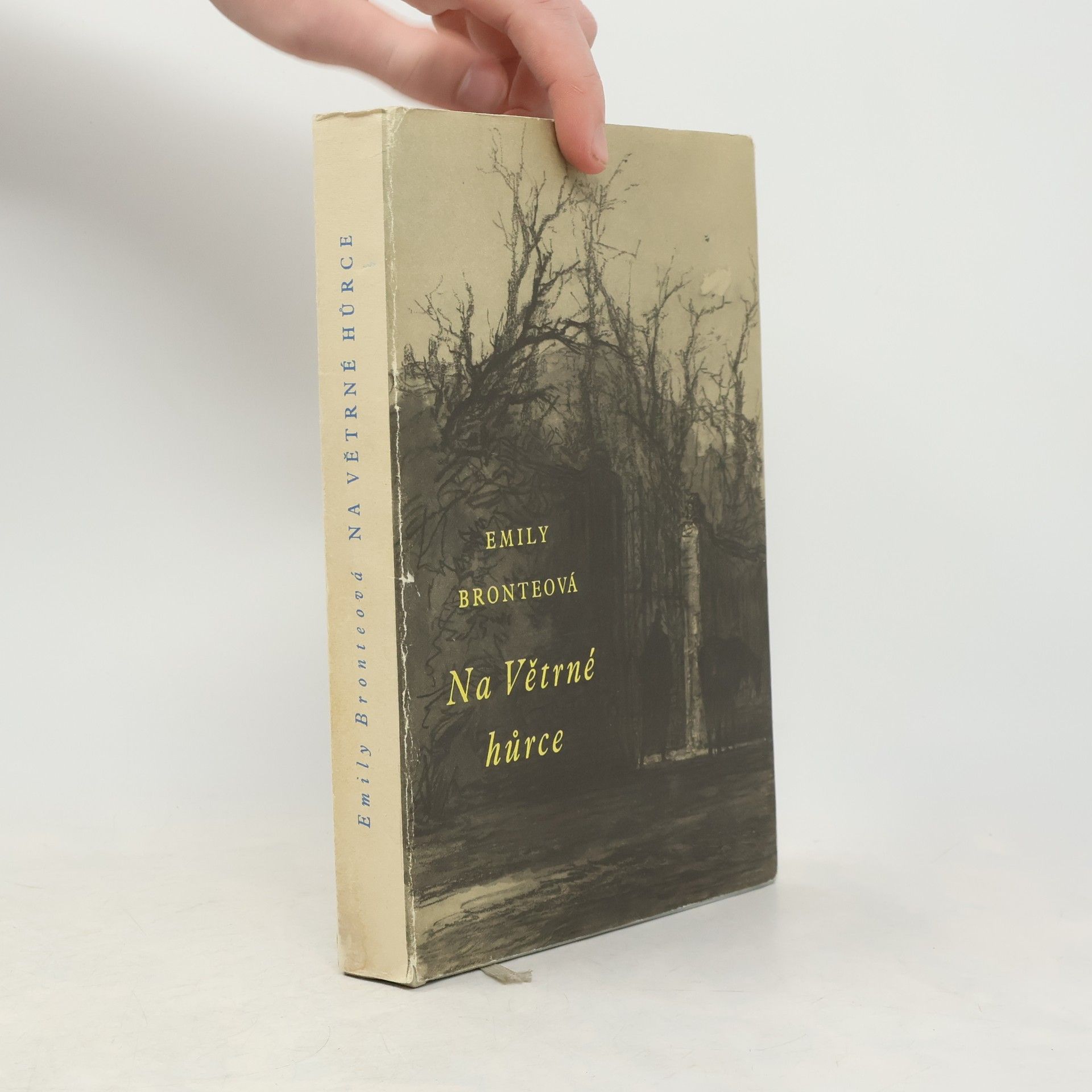 Emily Brontë Na Větrné hůrce
