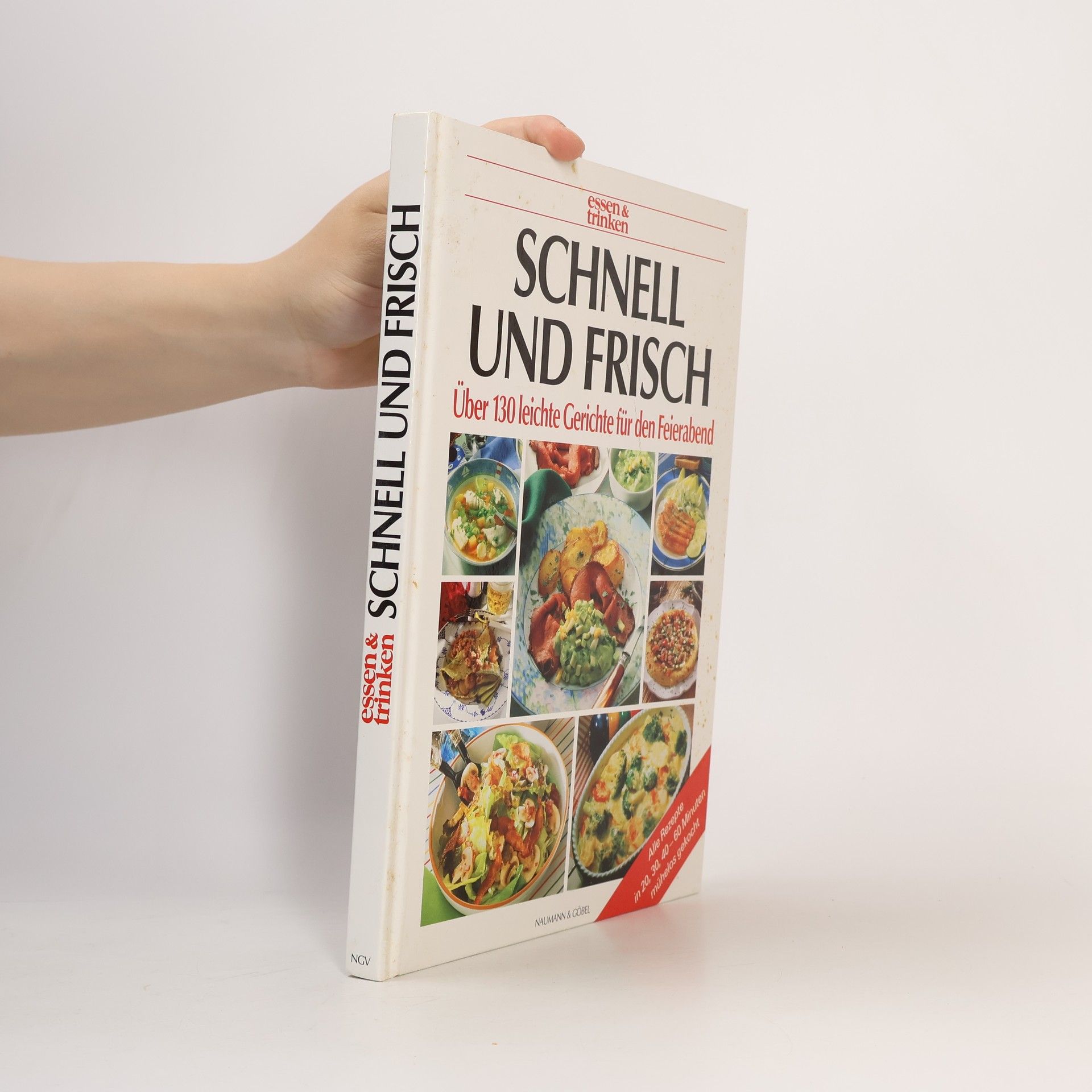 Kolektiv autorů Schnell und Frisch