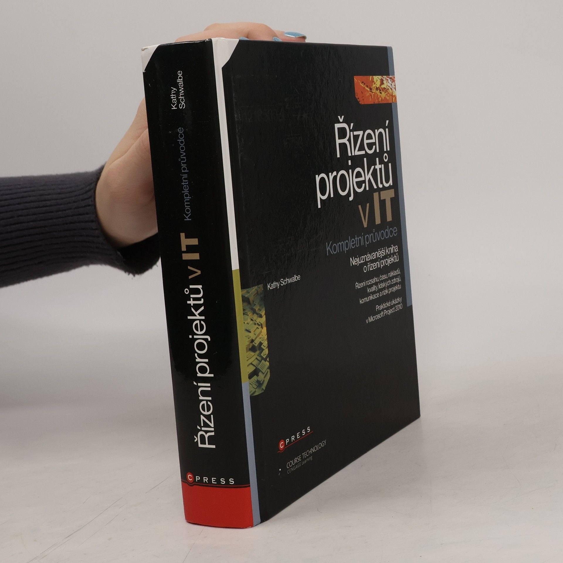 Kathy Schwalbe Řízení projektů v IT : kompletní průvodce