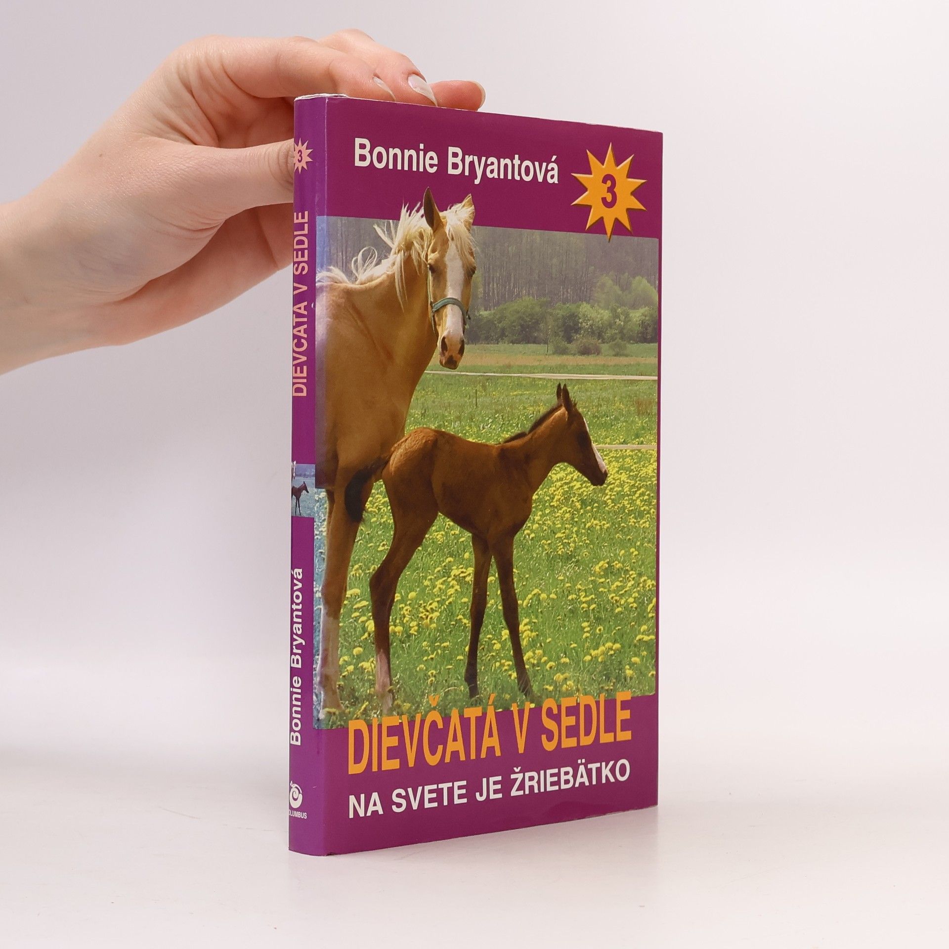 Bonnie Bryant Dievčatá v sedle 3