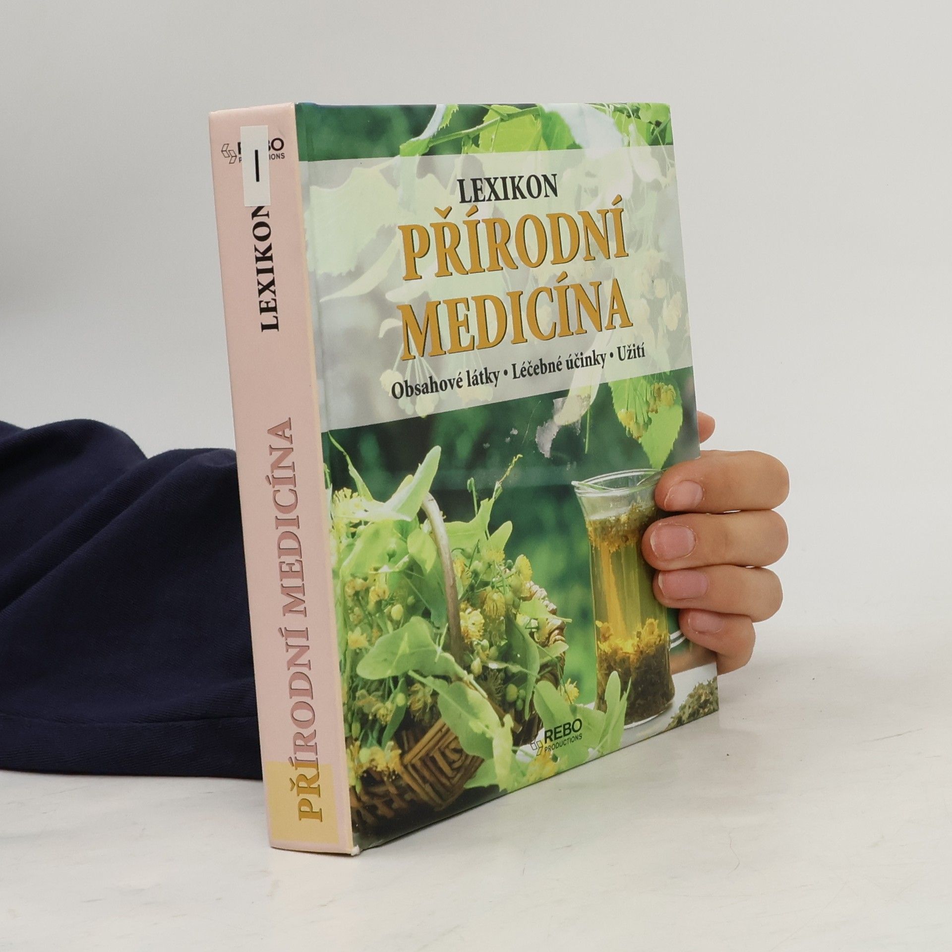 Anne Iburg Lexikon přírodní medicíny