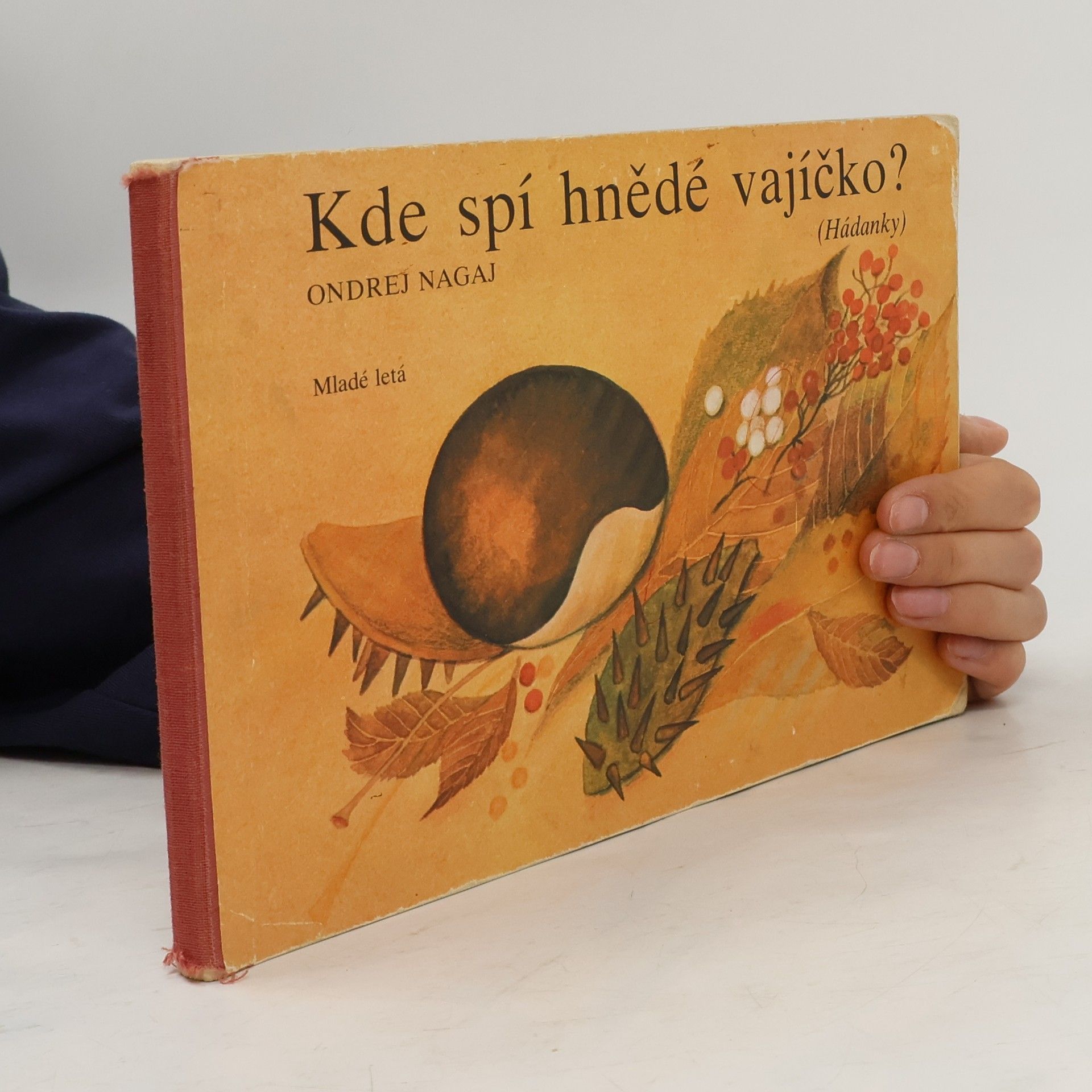 Ondrej Nagaj Kde spí hnědé vajíčko?