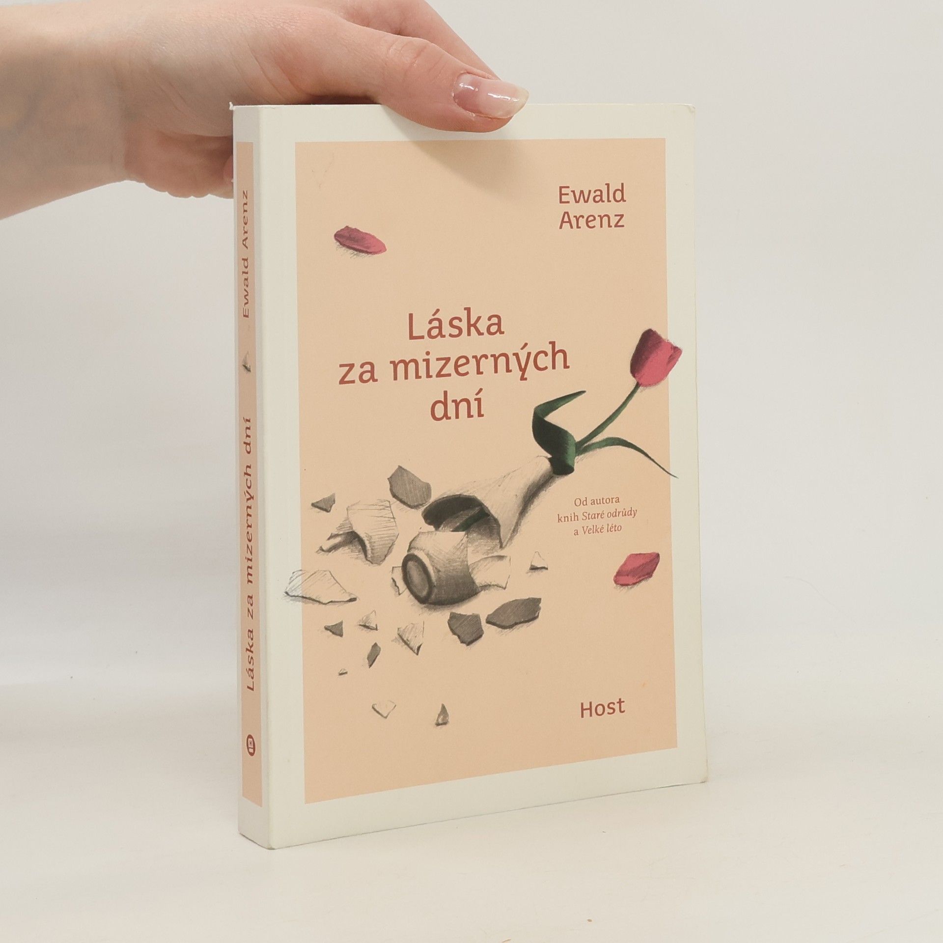 Ewald Arenz Láska za mizerných dní