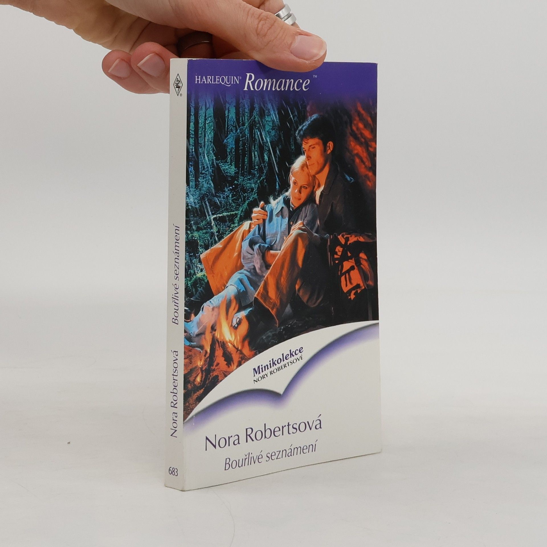 Nora Roberts Bouřlivé seznámení