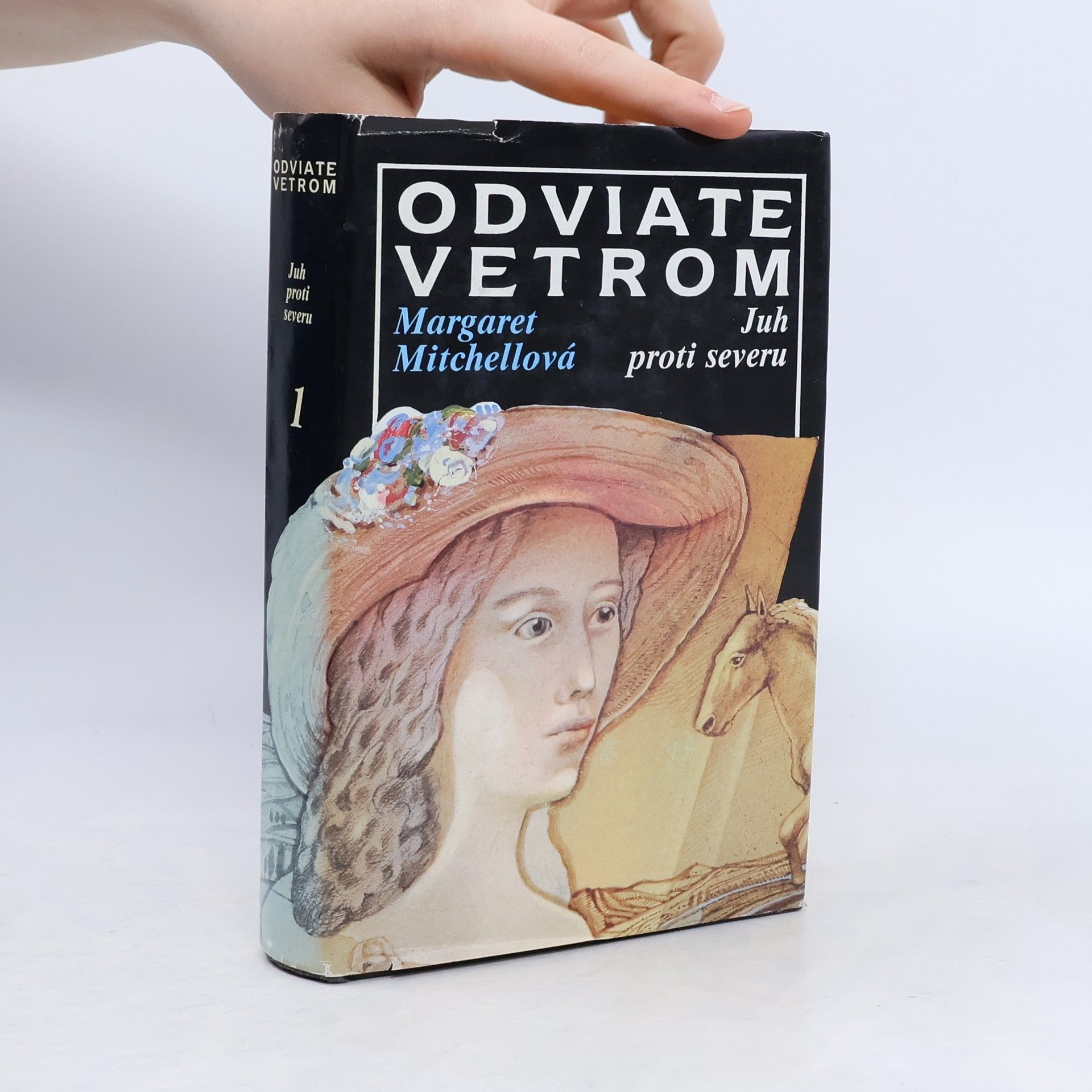 Margaret Mitchell Odviate vetrom 1. Juh proti severu