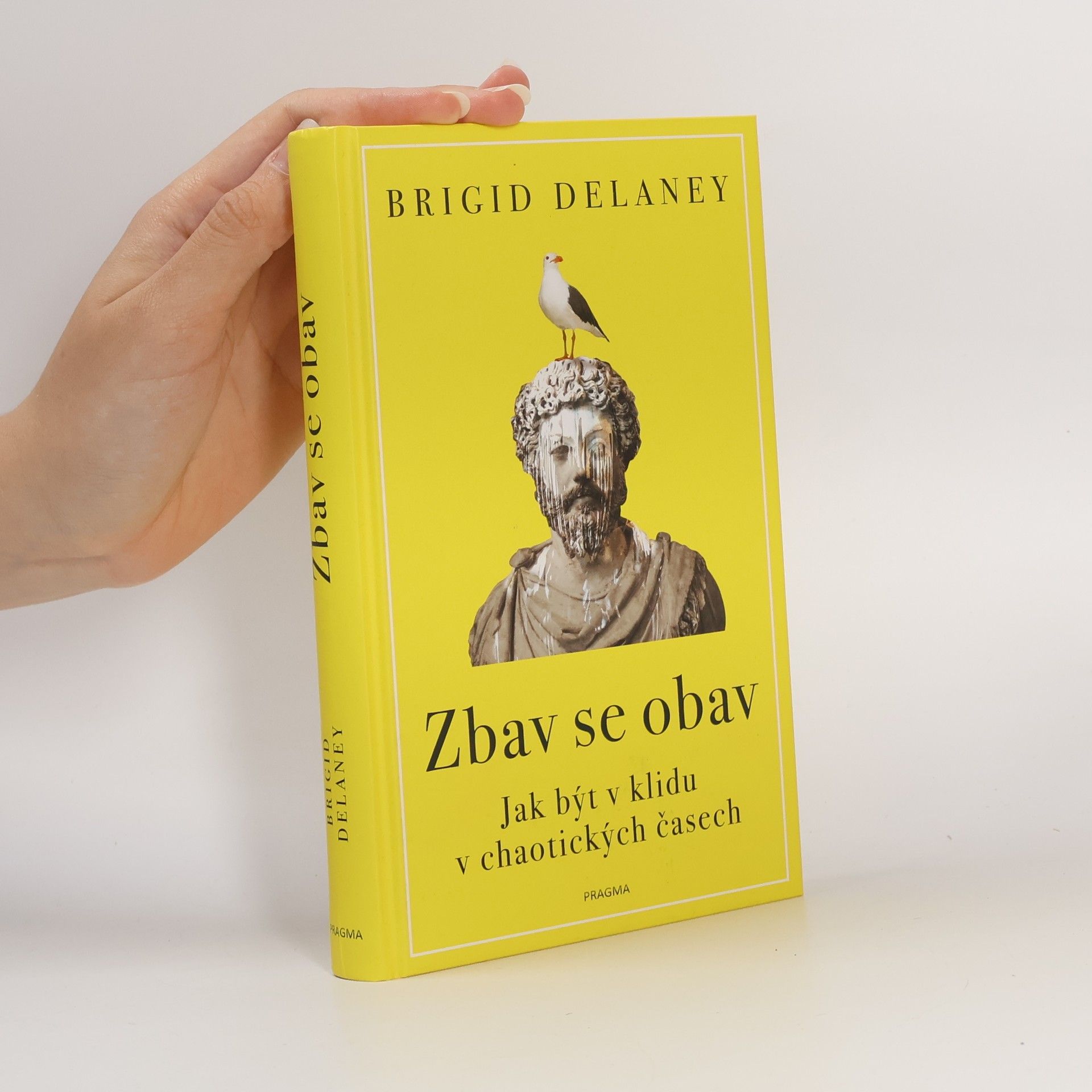 Brigid Delaney Zbav se obav. Jak být v klidu v chaotických časech