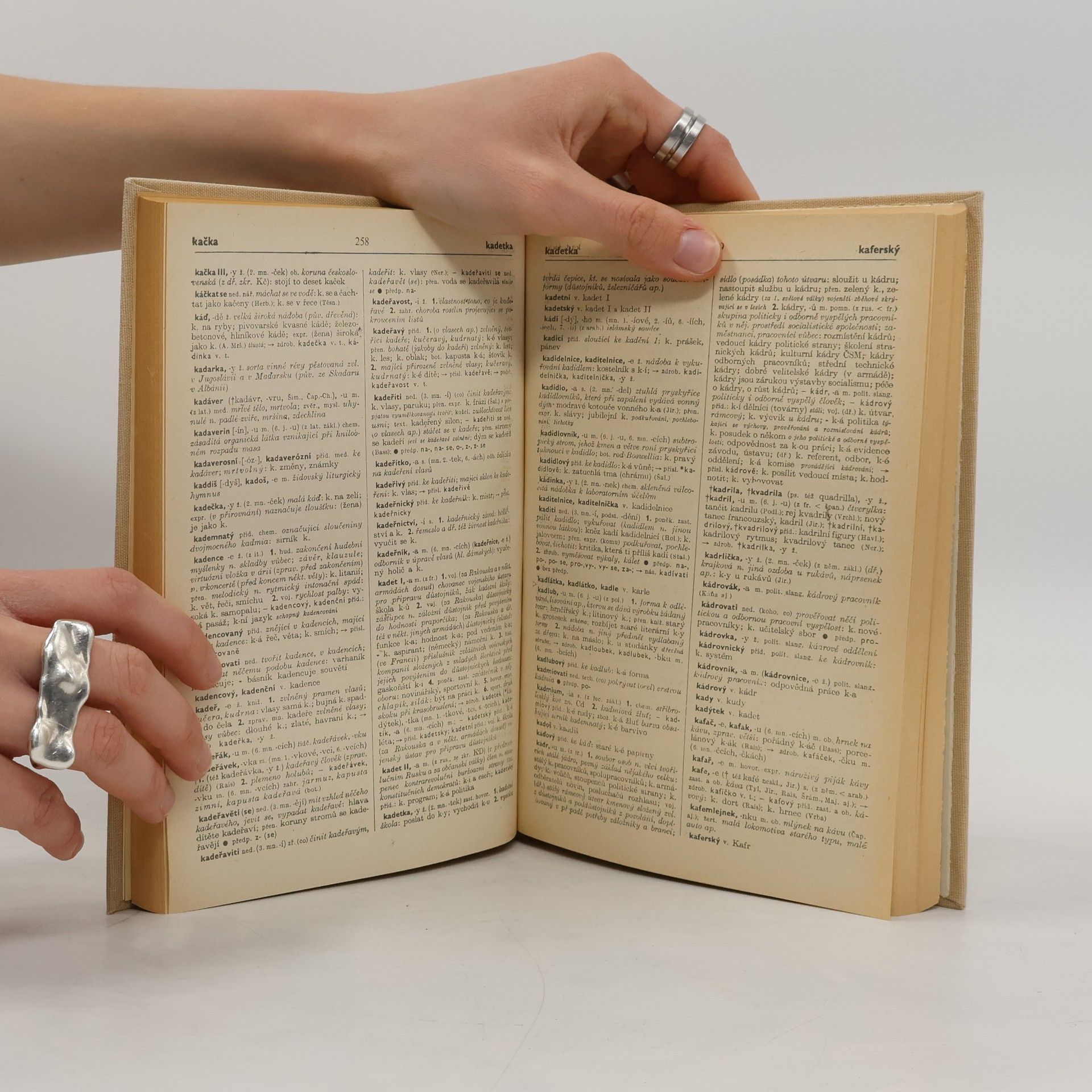 Autorenkollektiv Slovník spisovného jazyka českého II. H-L