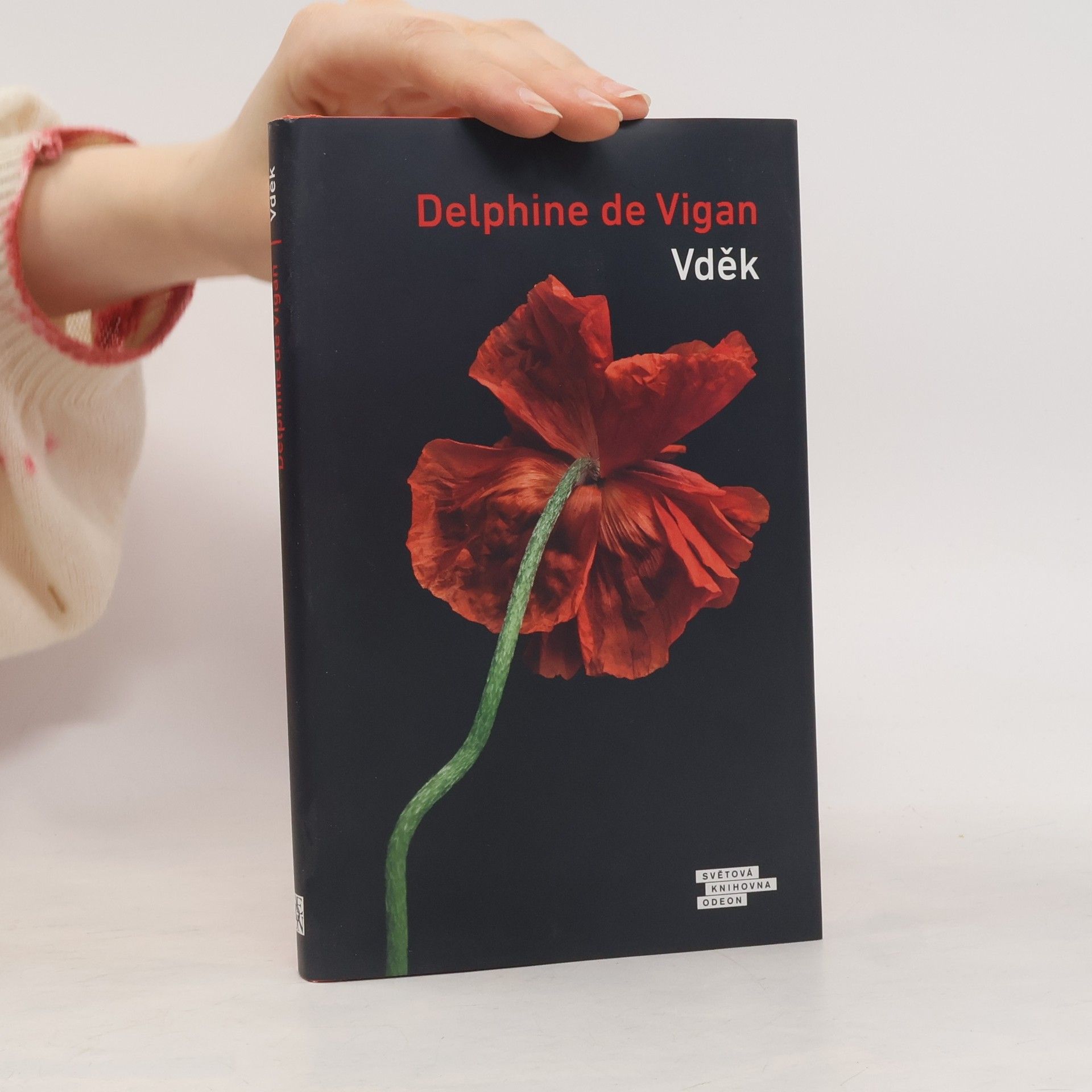 Delphine de Vigan Vděk