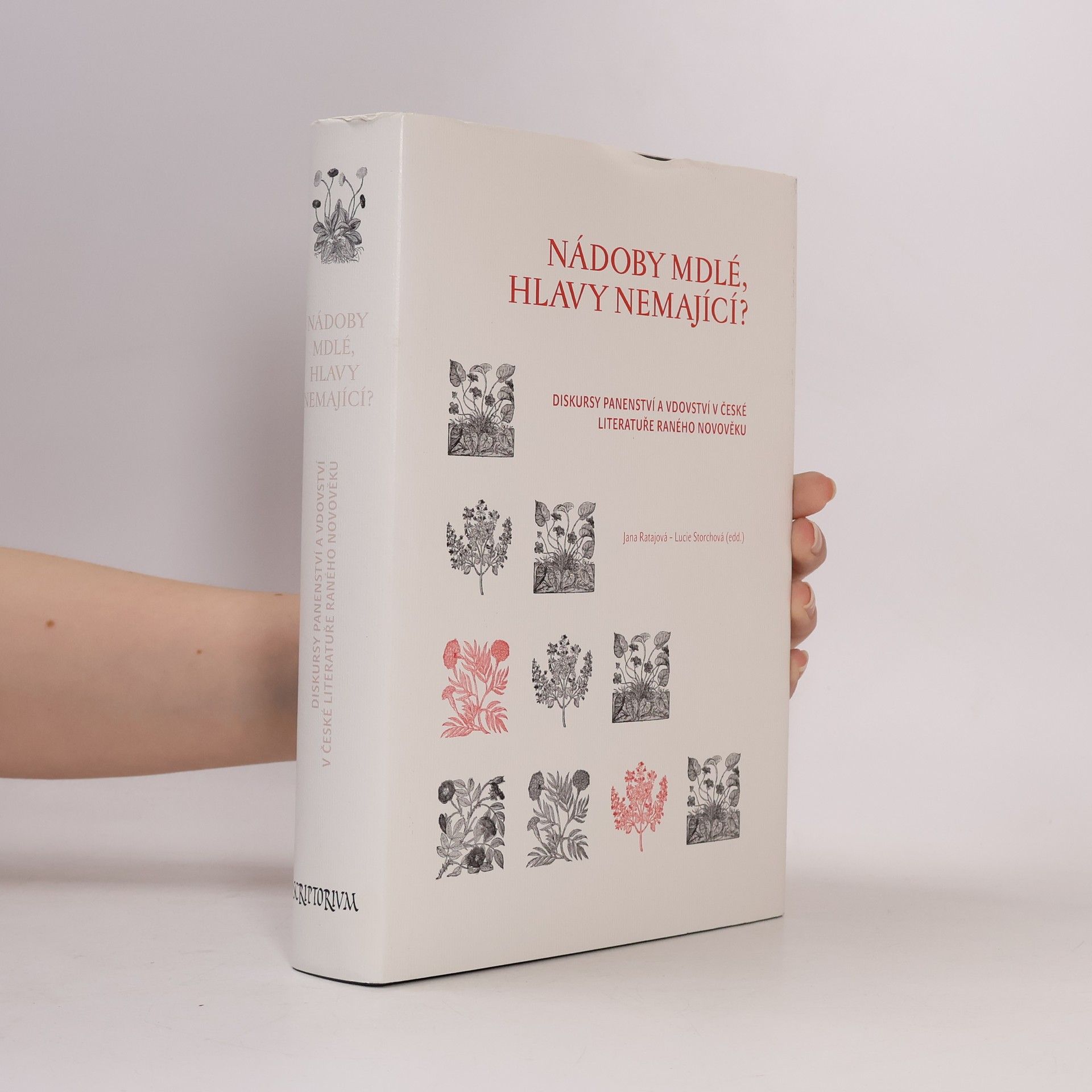 Nádoby mdlé, hlavy nemající? : diskursy panenství a vdovství v české literatuře raného novověku