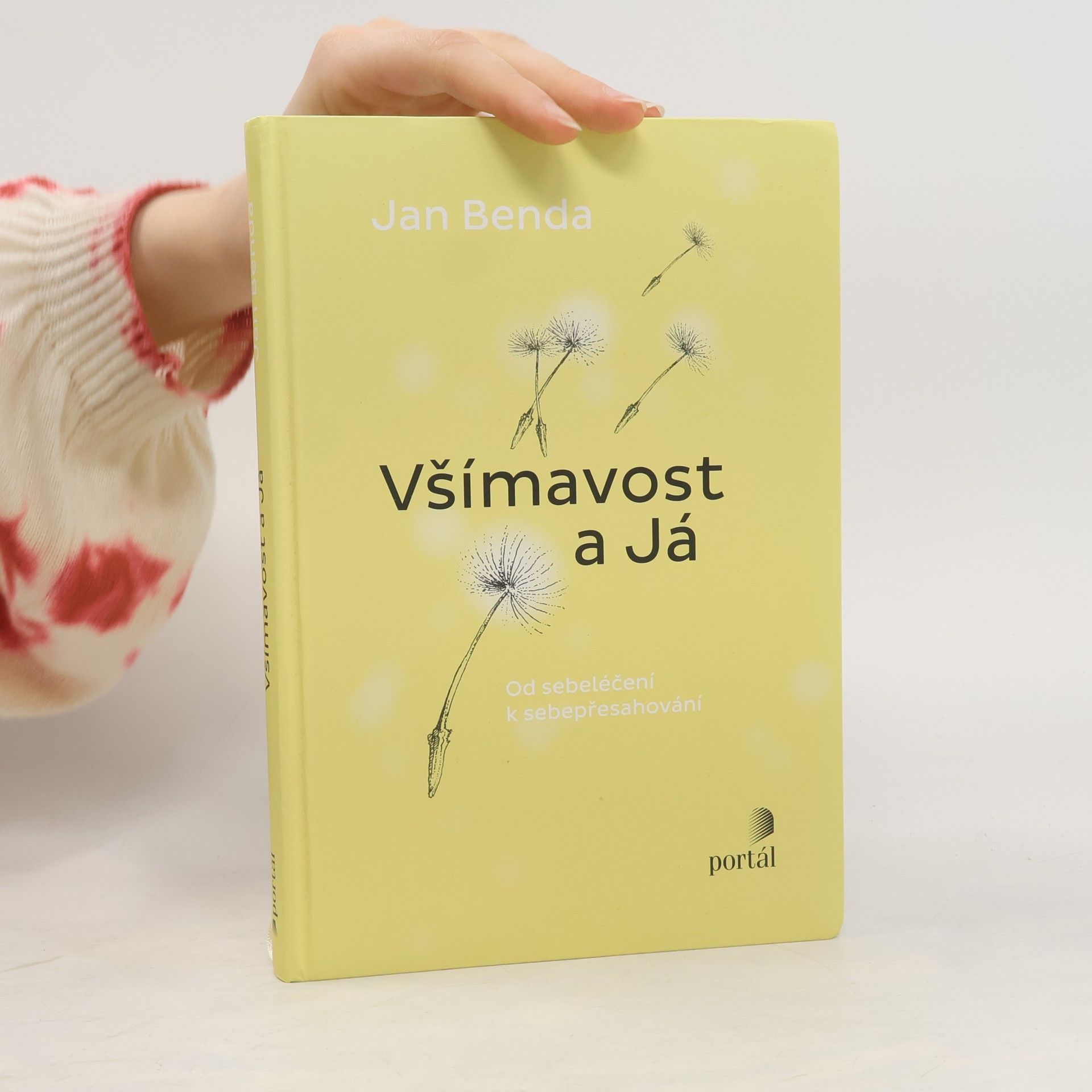 Všímavost a já. Od sebeléčení k sebepřesahování