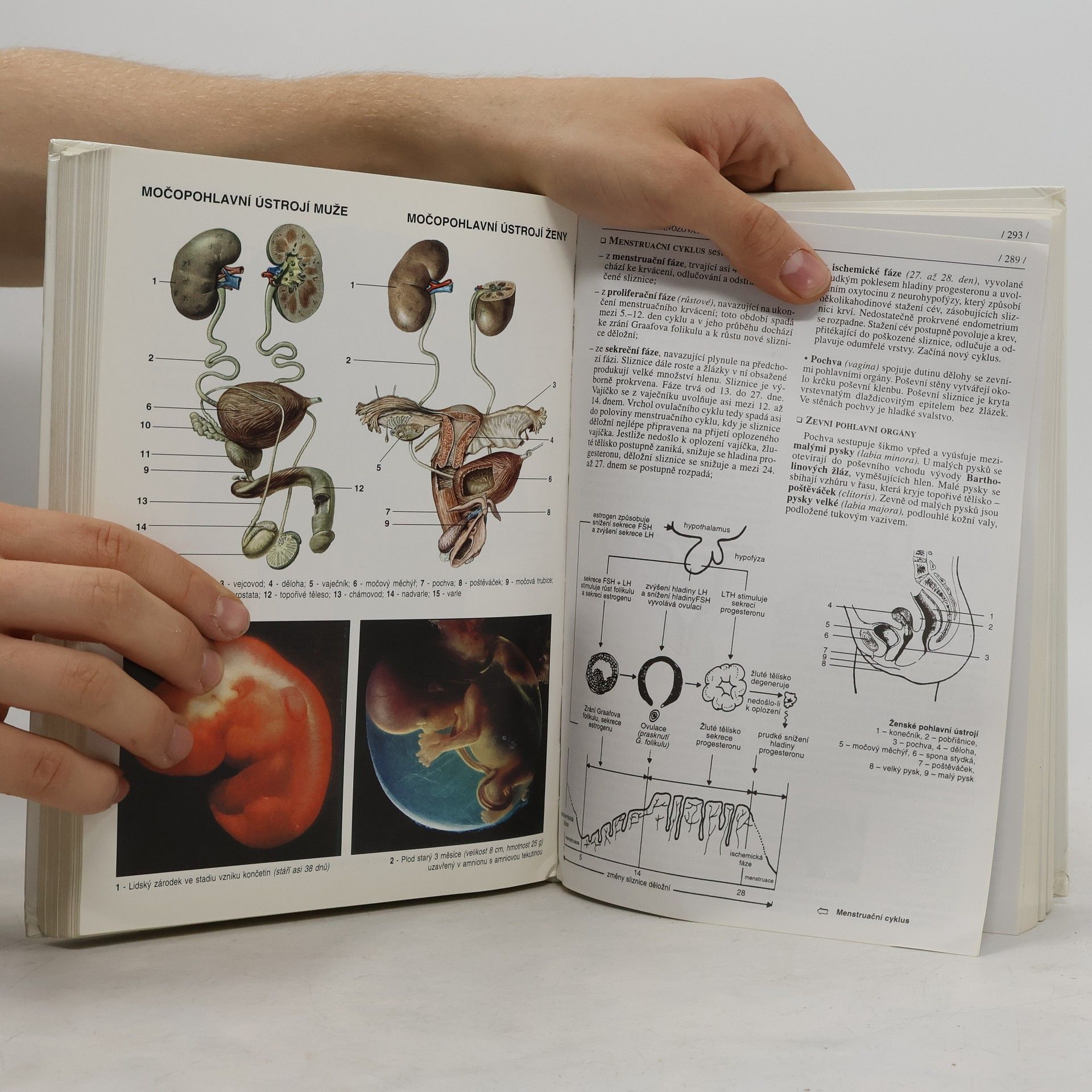 Jan Jelinek Biologie pro gymnázia