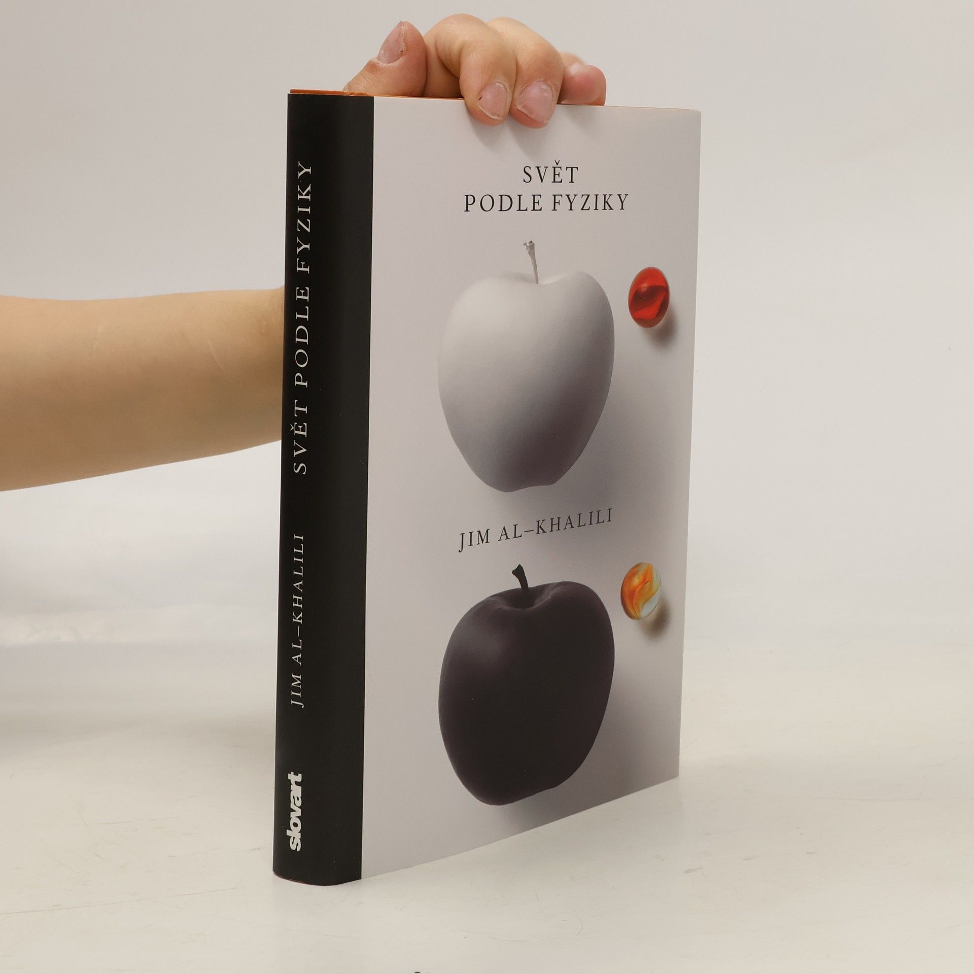 Jim Al Khalili Svět podle fyziky