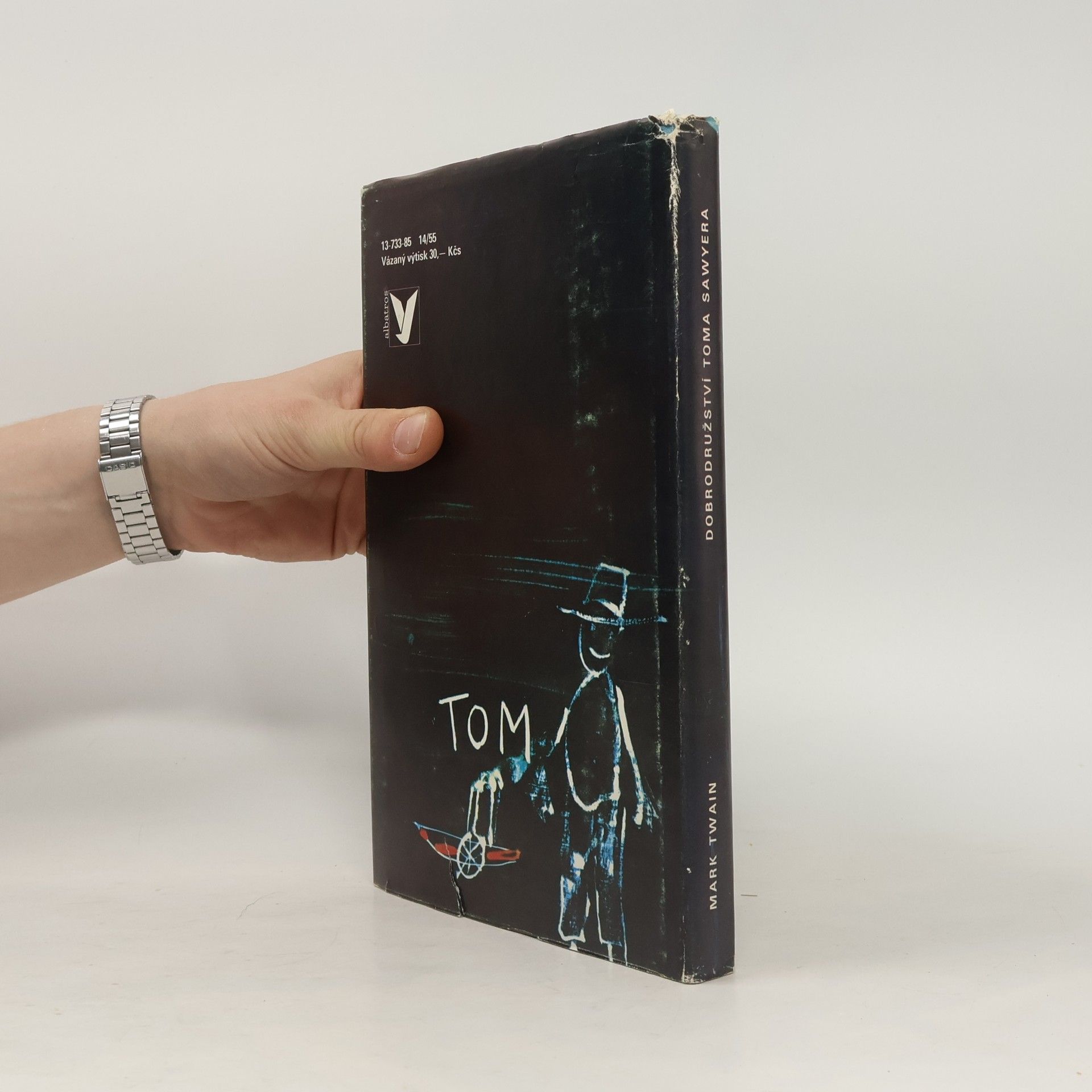 Mark Twain Dobrodružství Toma Sawyera