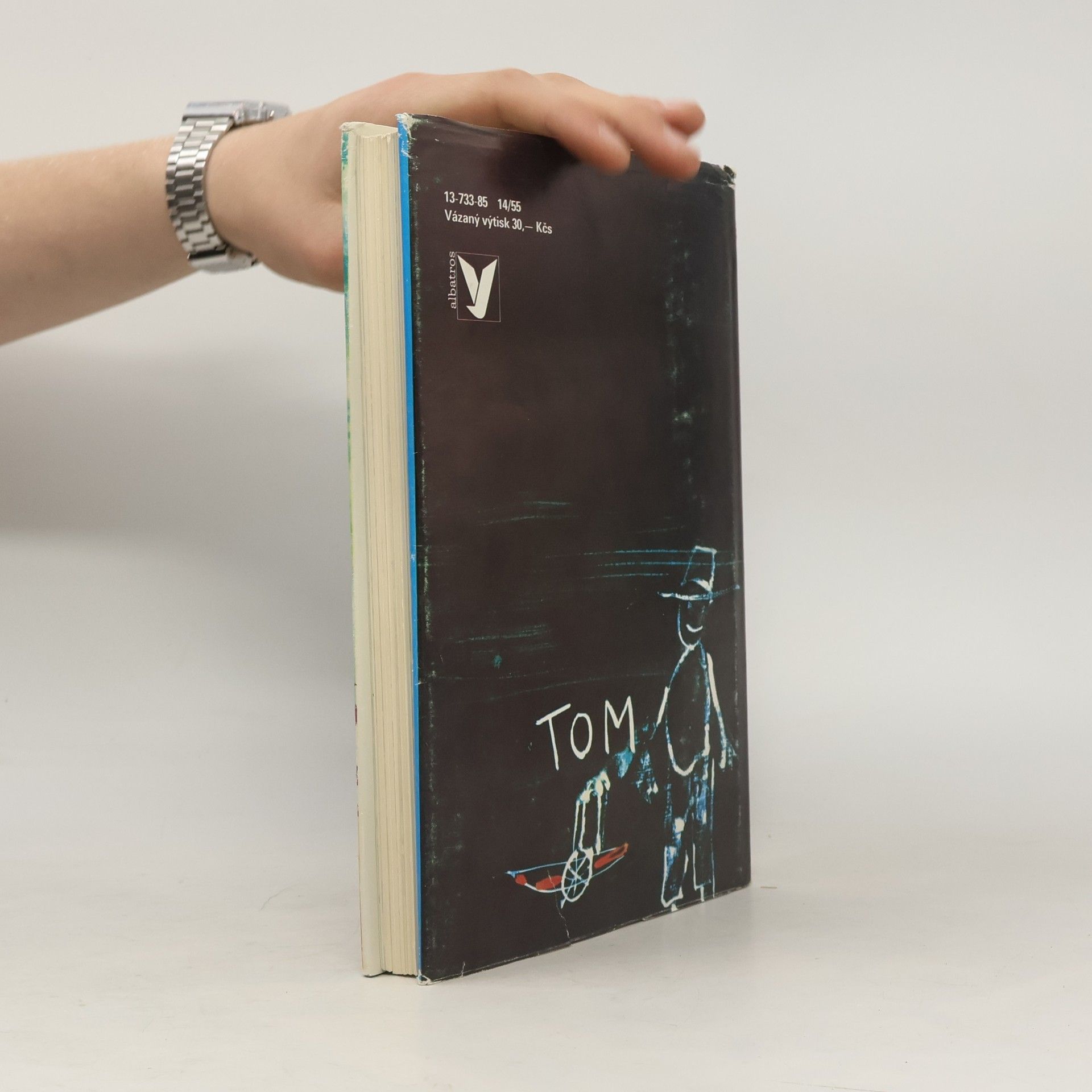Mark Twain Dobrodružství Toma Sawyera