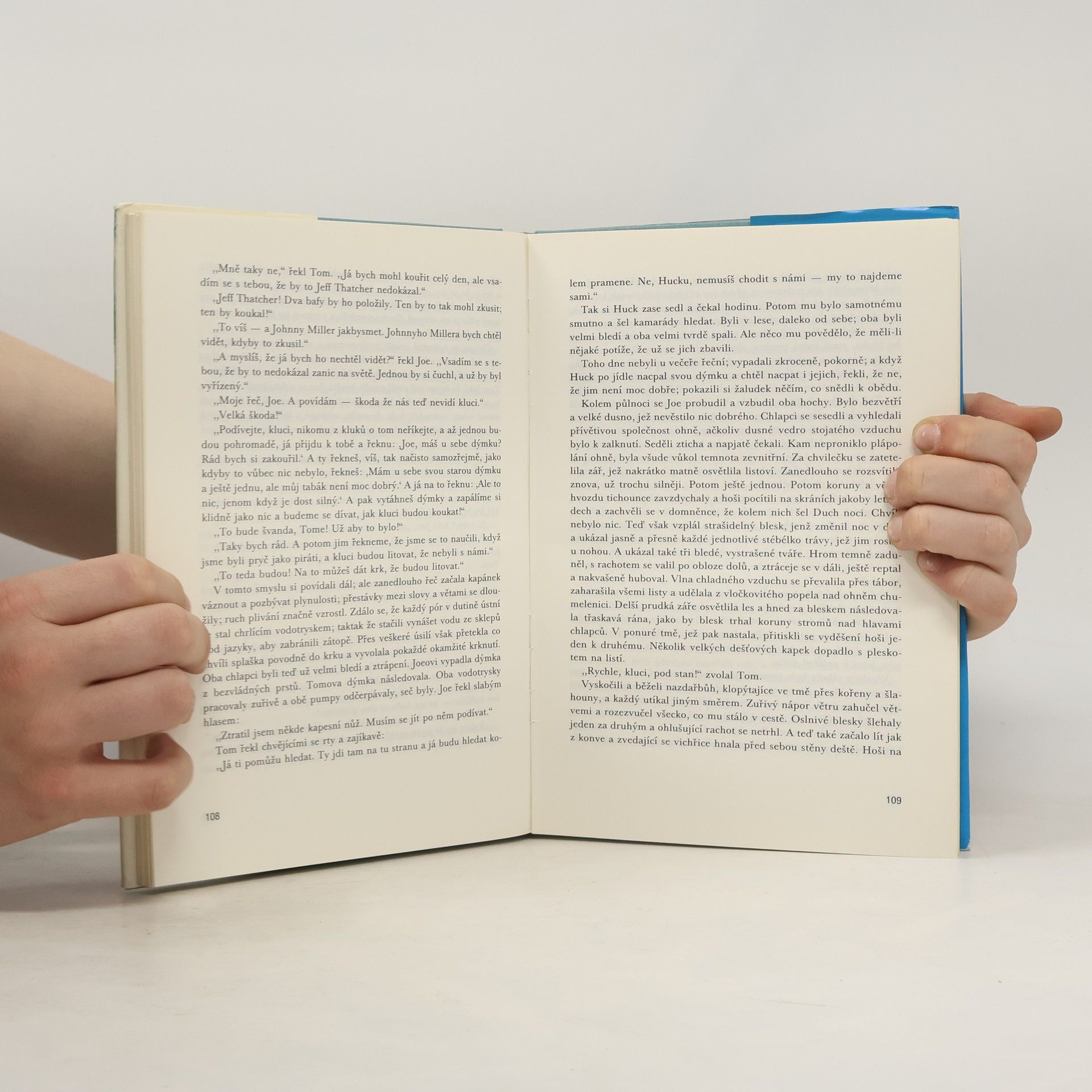 Mark Twain Dobrodružství Toma Sawyera