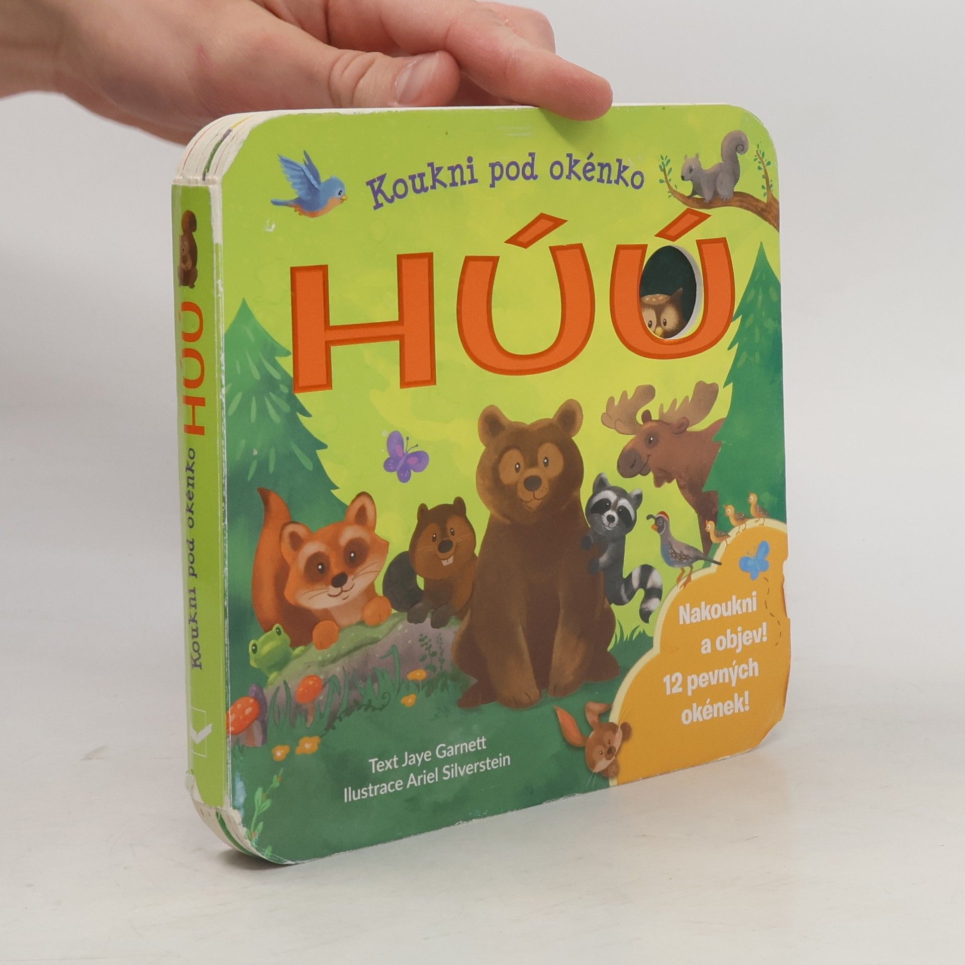 Ariel Silverstein Húú. Koukni pod okénko