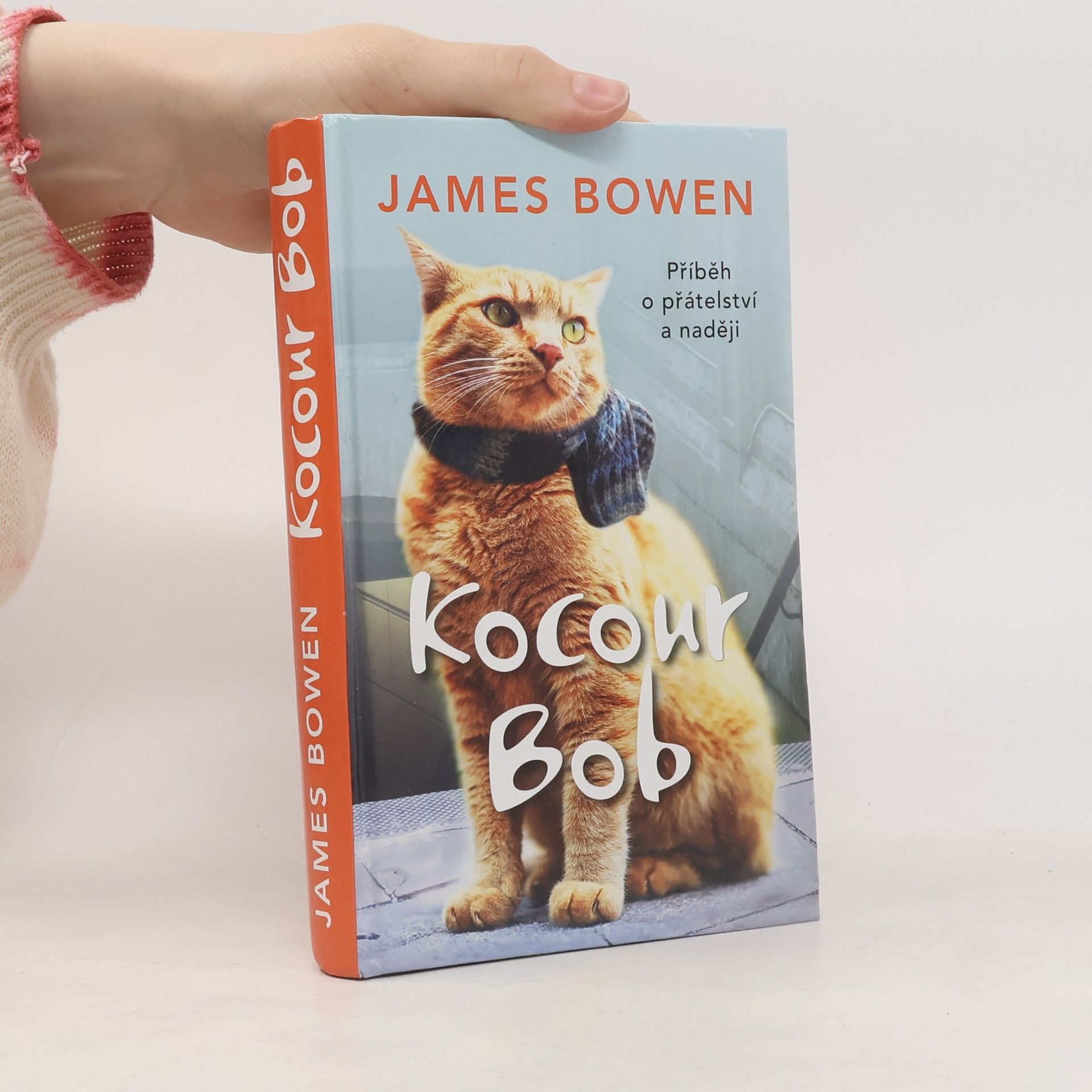 James Bowen Kocour Bob