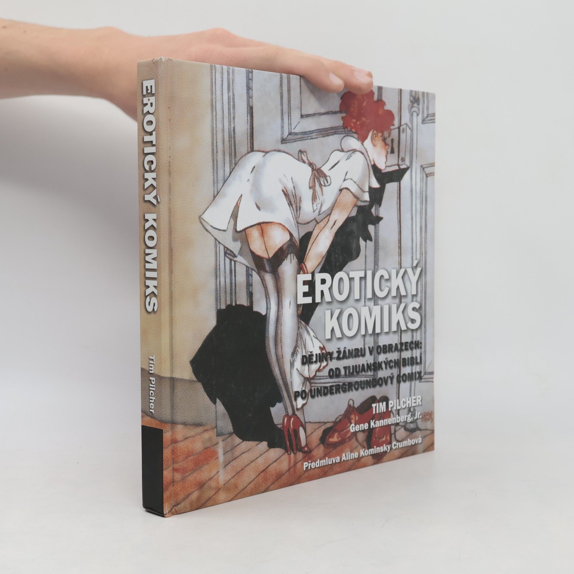 Erotický komiks: Dějiny žánru v obrazech