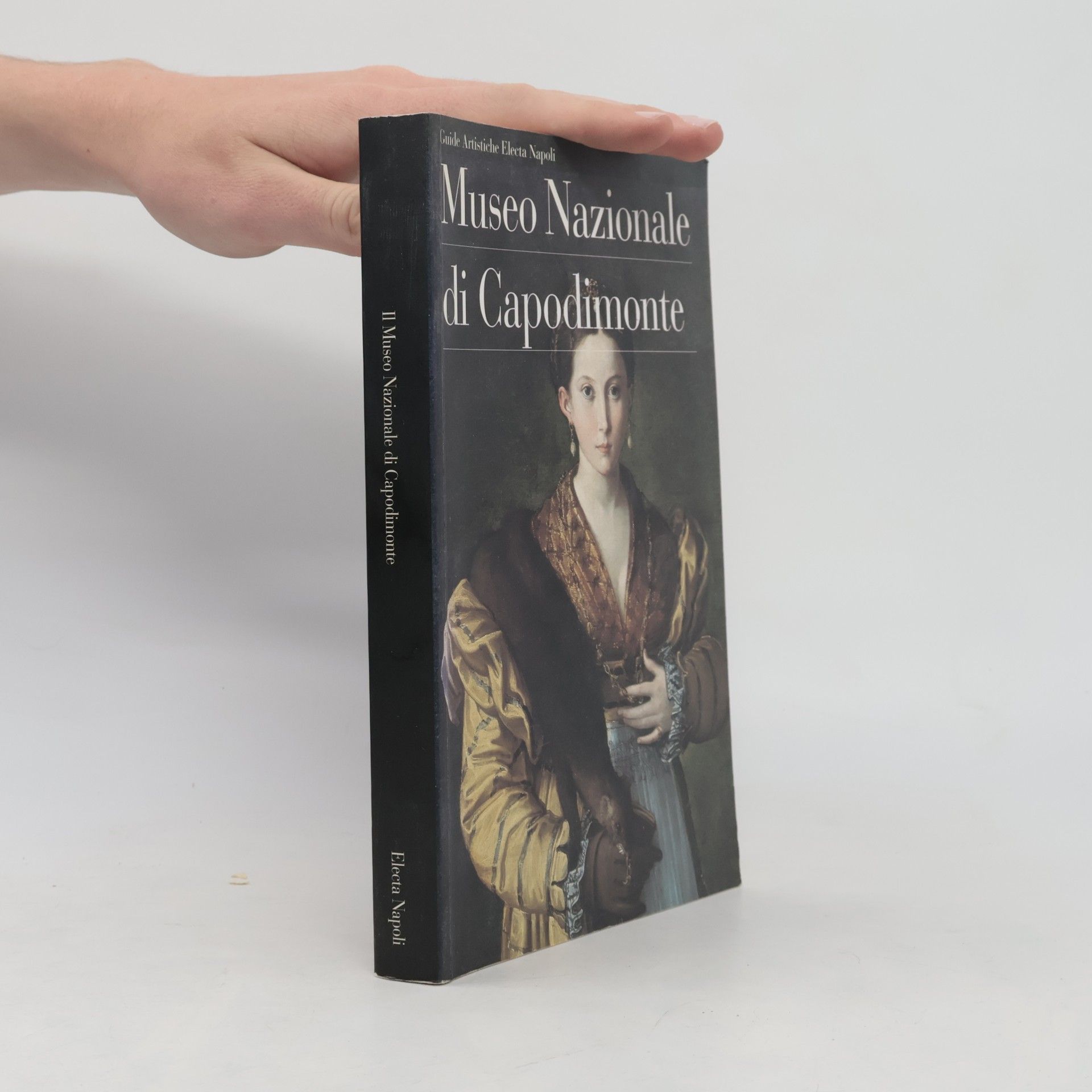 Museo e gallerie nazionali di Capodimonte Guide artistiche Electa Napoli: Museo nazionale di Capodimonte