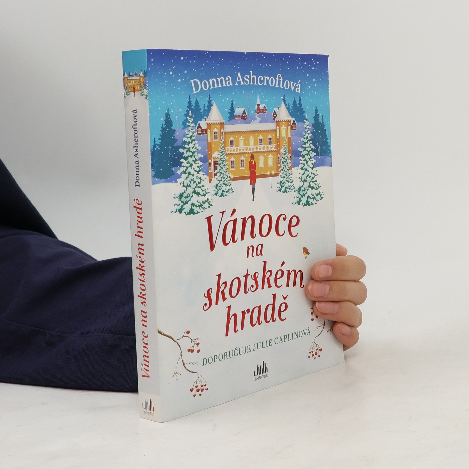Donna Ashcroft Vánoce na skotském hradě