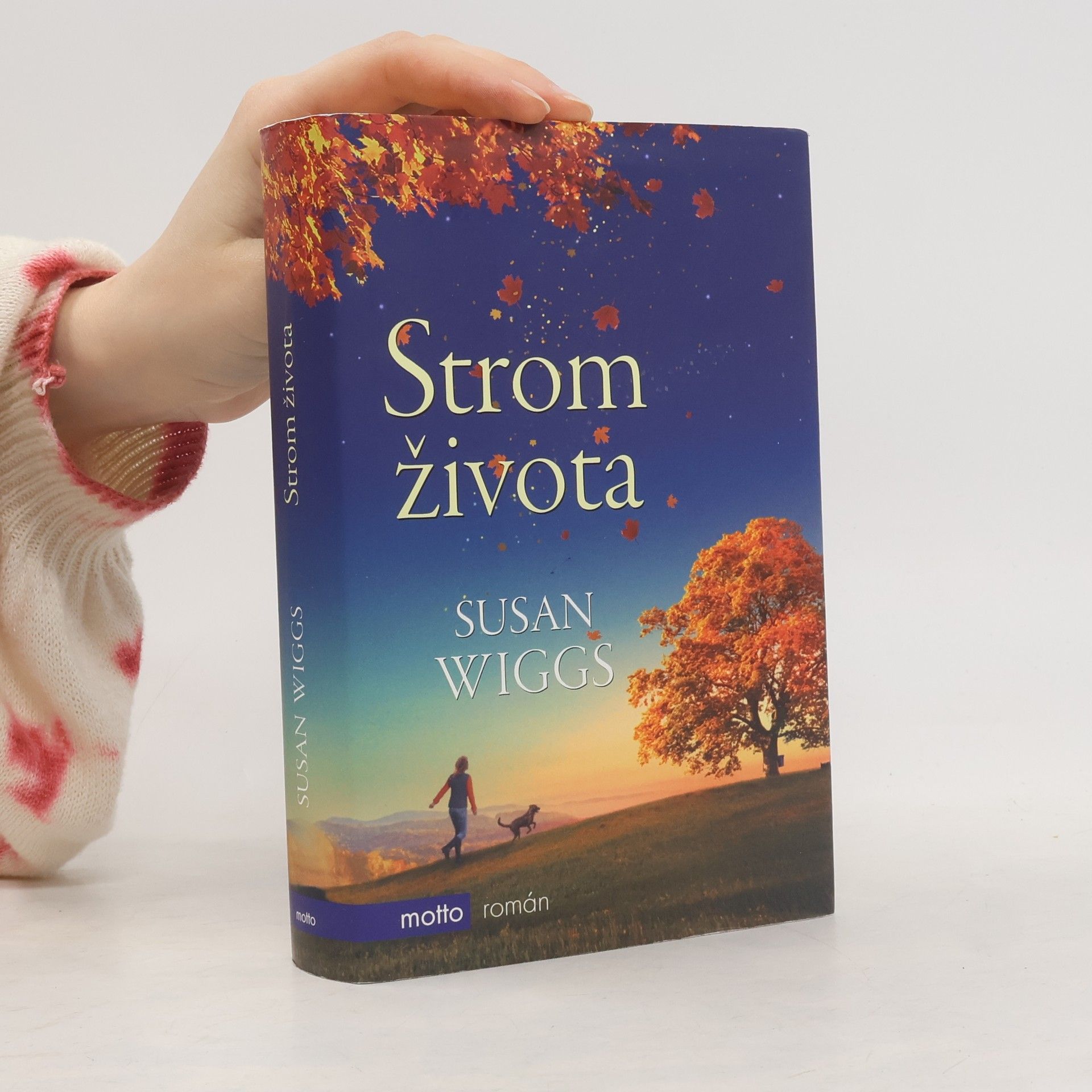 Susan Wiggs Strom života