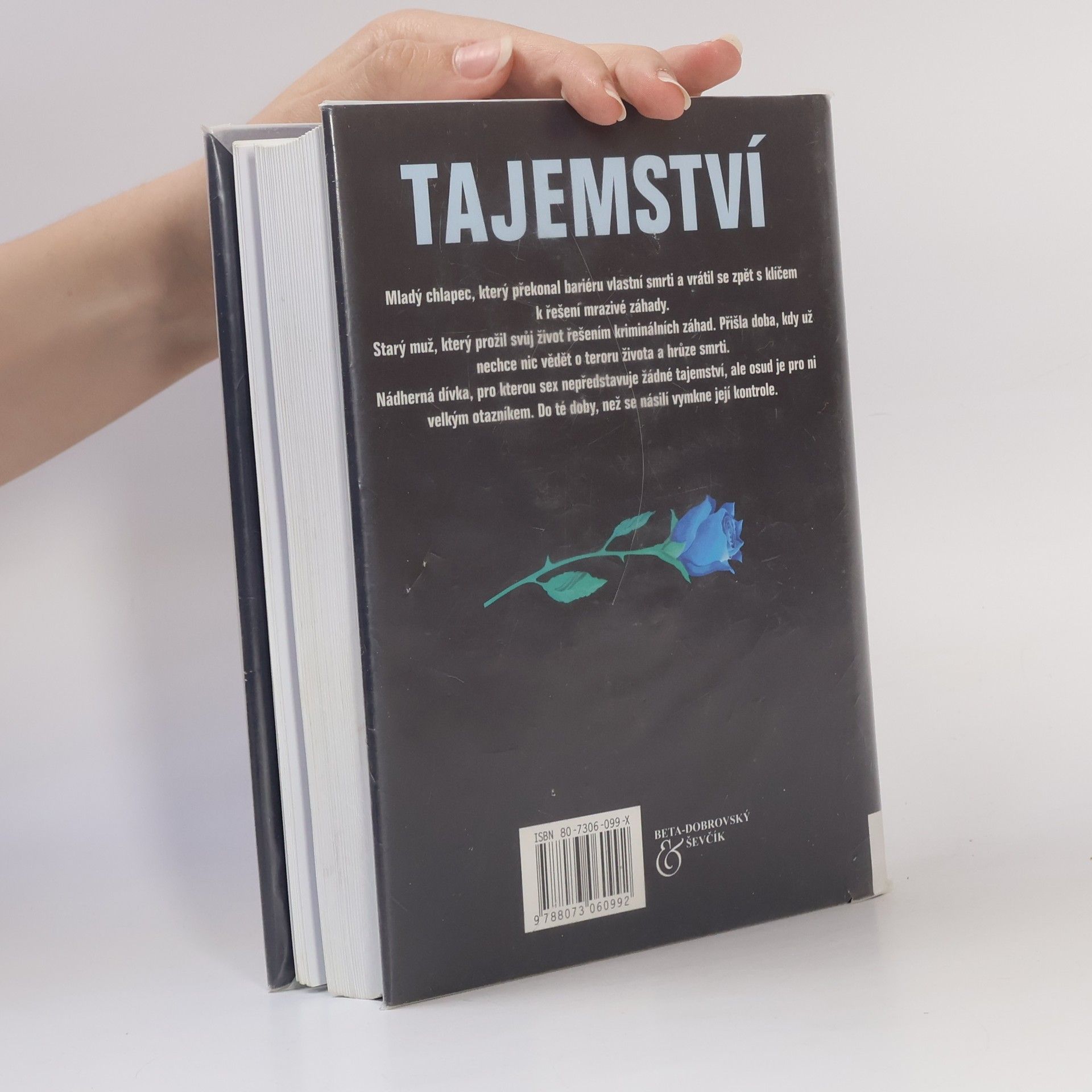 Peter Straub Tajemství