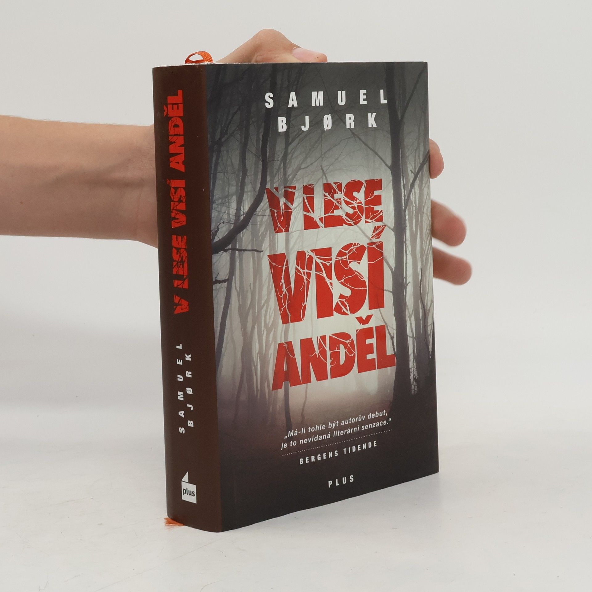 Samuel Bjork V lese visí anděl