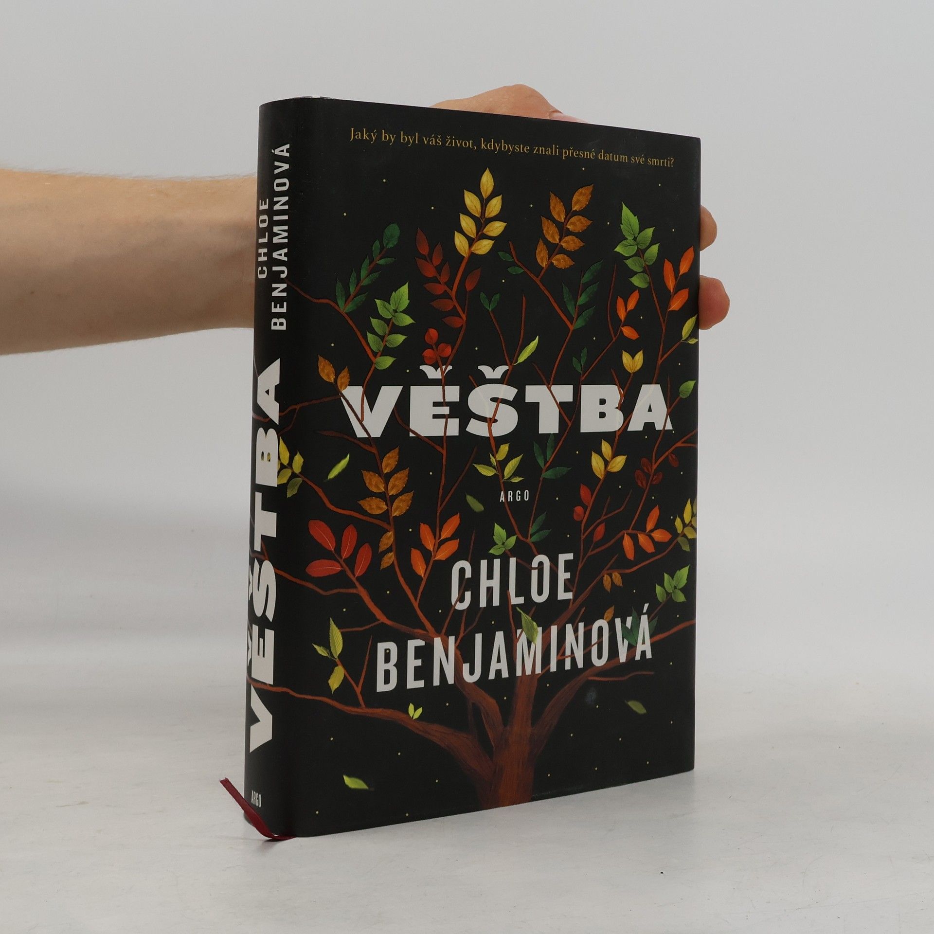 Chloe Benjamin Věštba