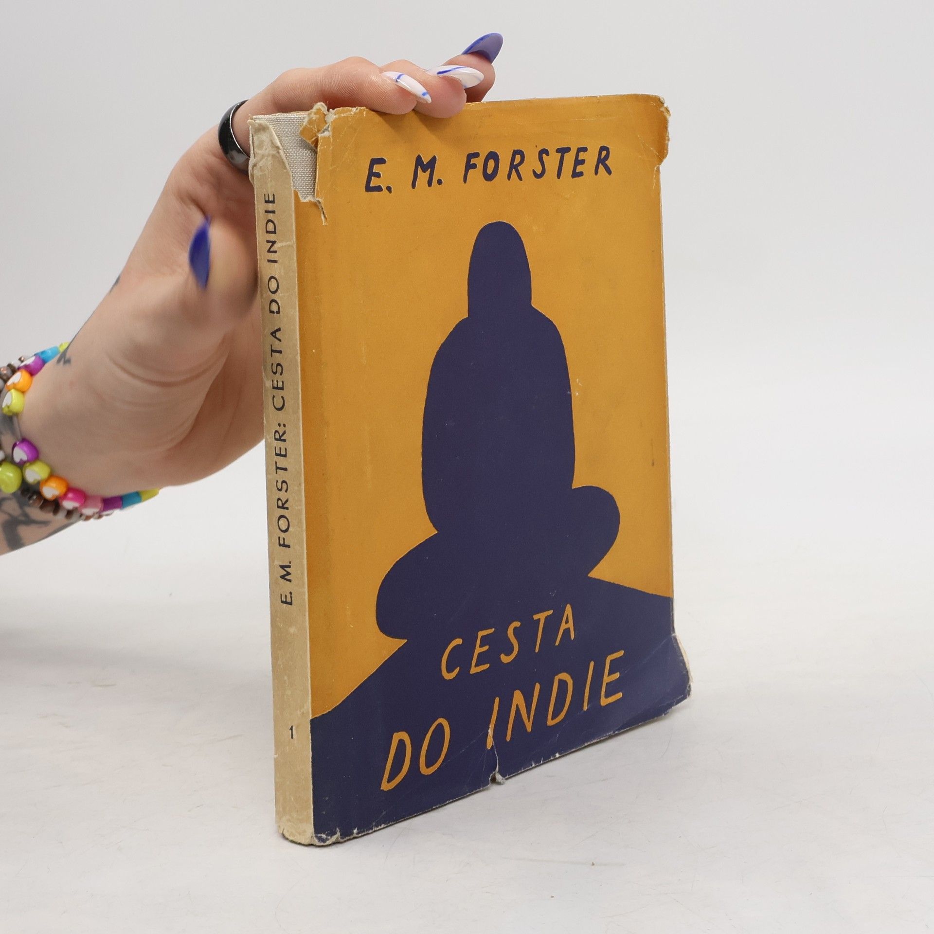 Cesta do Indie