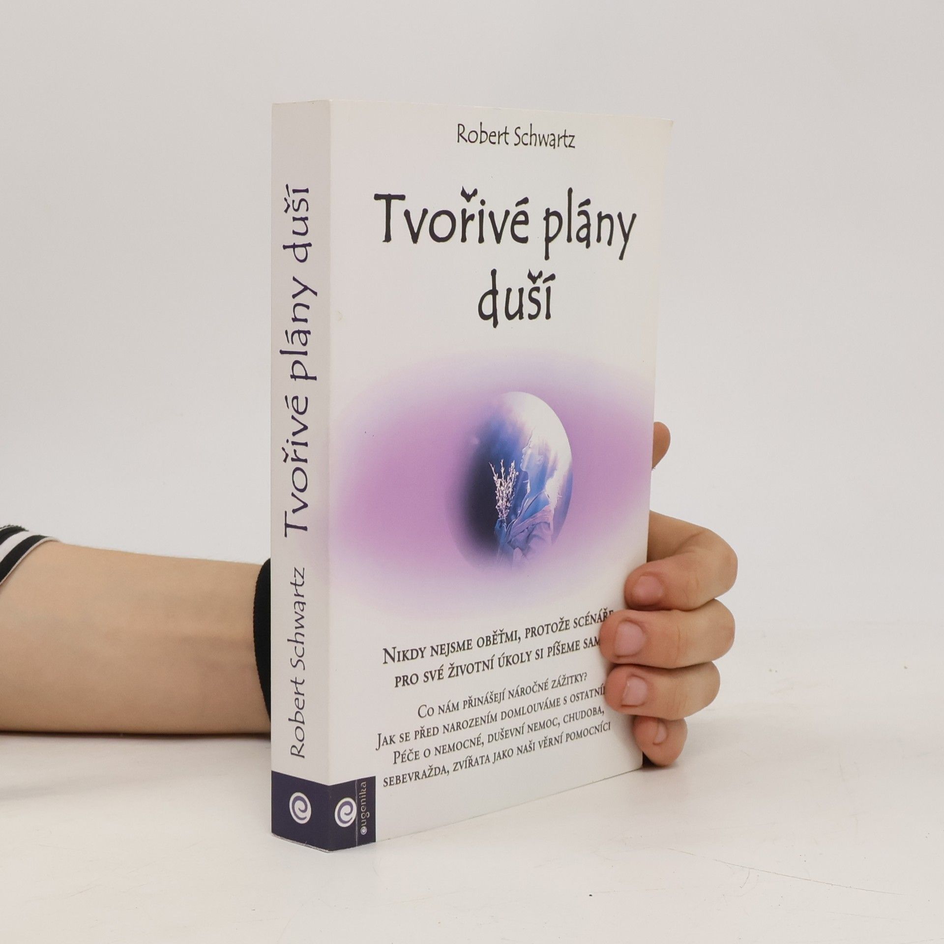 Robert Schwartz Tvořivé plány duší