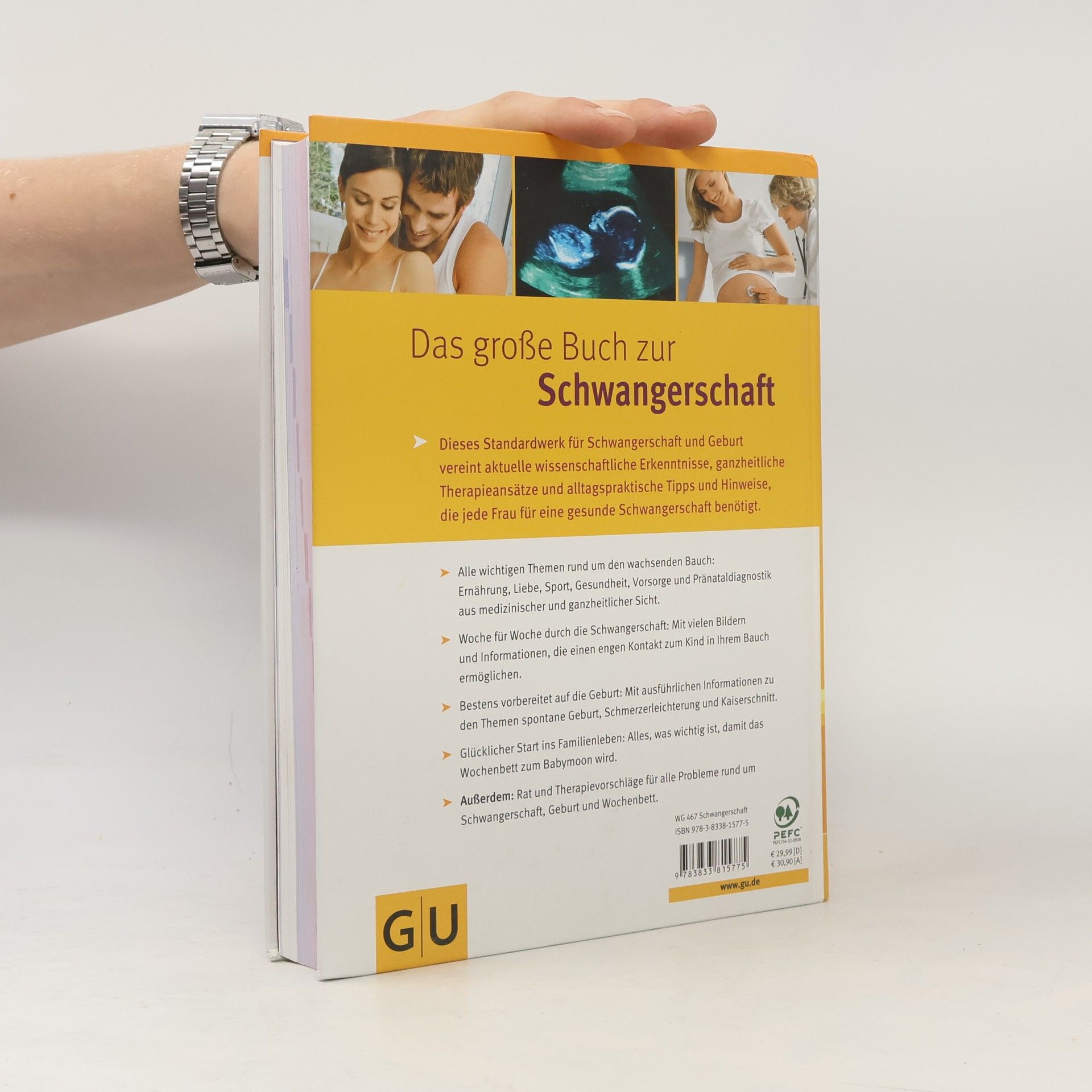 Annette Nolden-Thommen Das große Buch zur Schwangerschaft