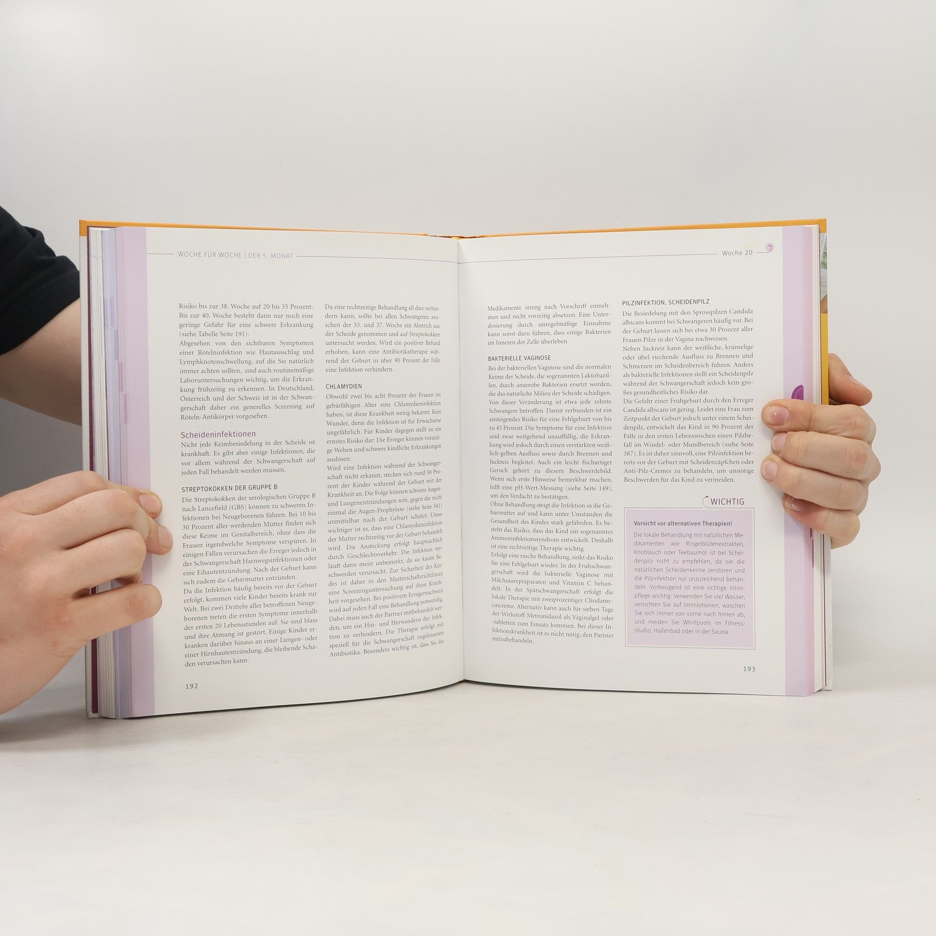 Annette Nolden-Thommen Das große Buch zur Schwangerschaft