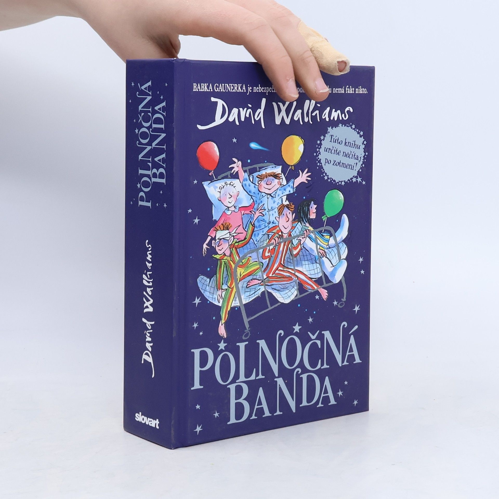 David Walliams Polnočná banda