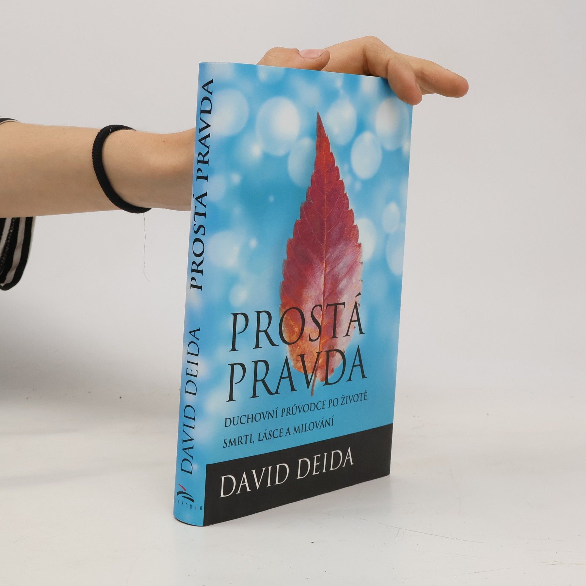 David Deida Prostá pravda