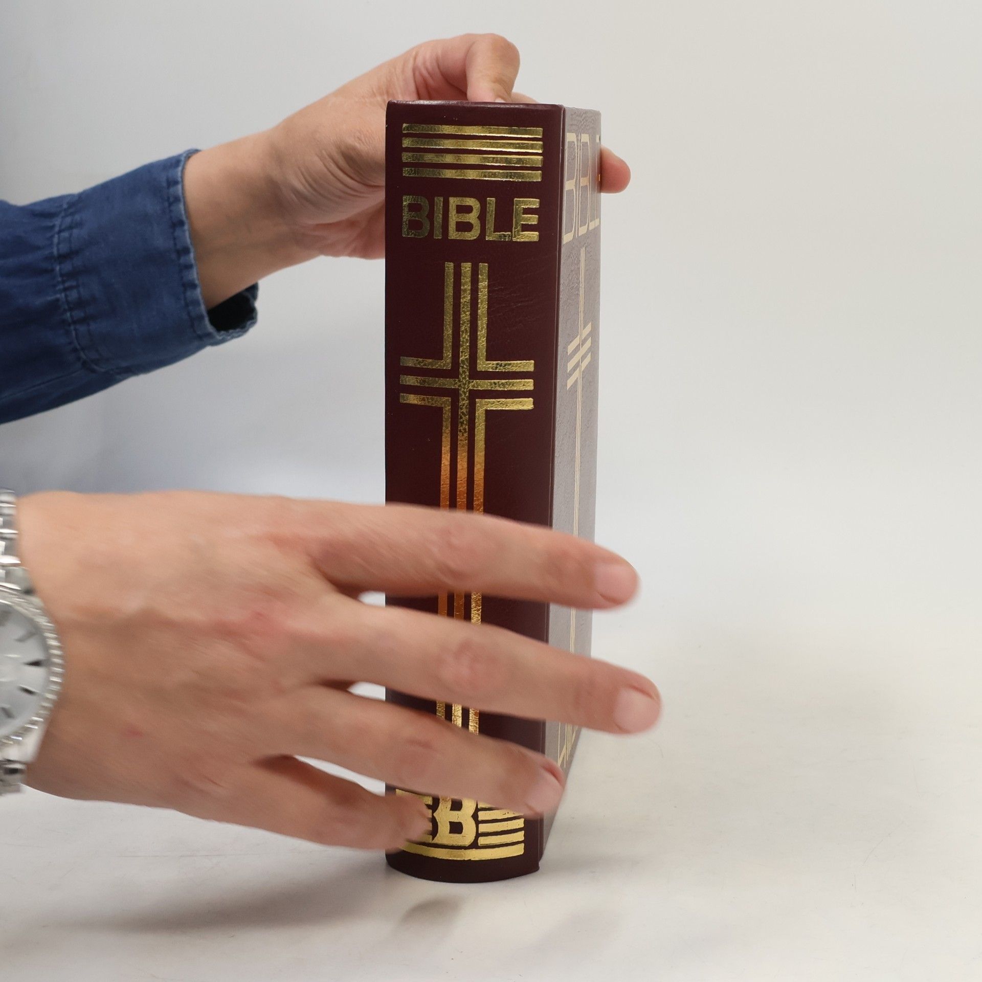 Autorenkollektiv Bible: Písmo svaté Starého a Nového zákona