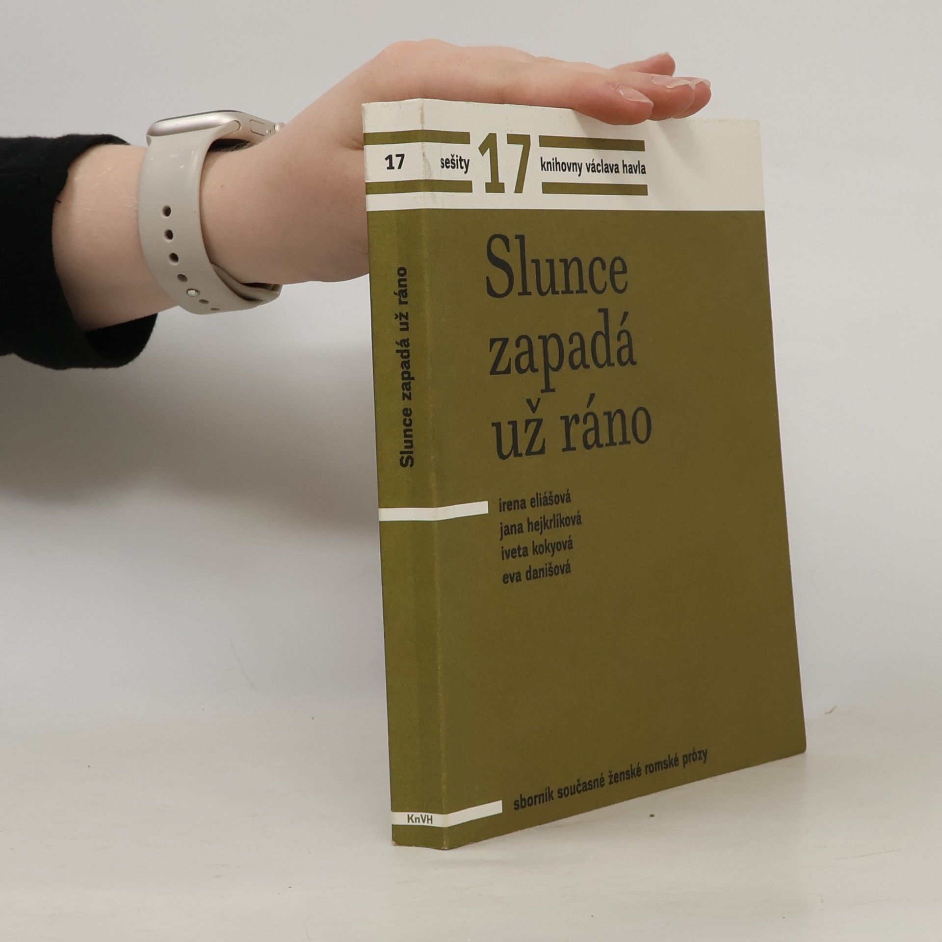 Eva Danišová Slunce zapadá už ráno : sborník současné ženské romské prózy