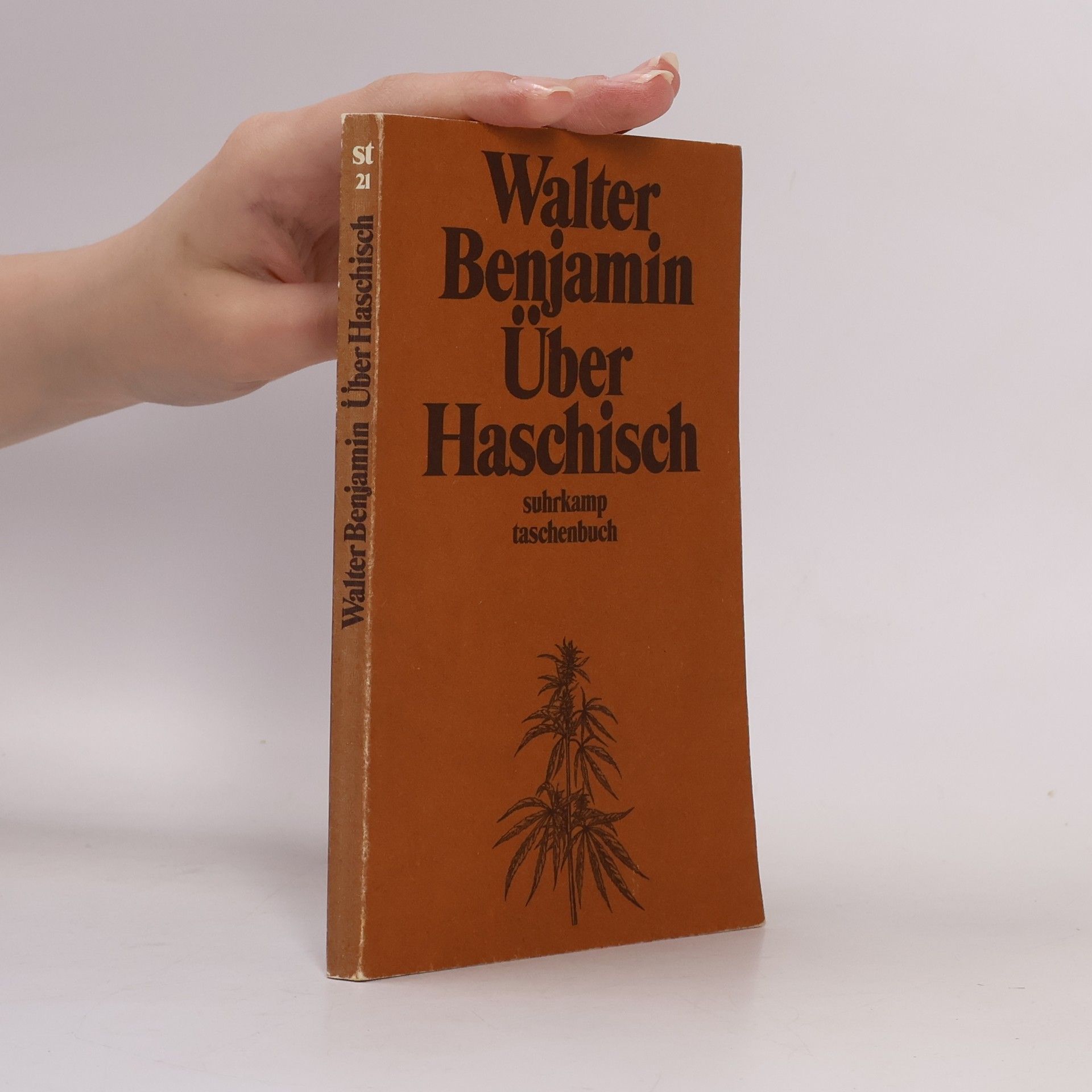 Walter Benjamin Über Haschisch