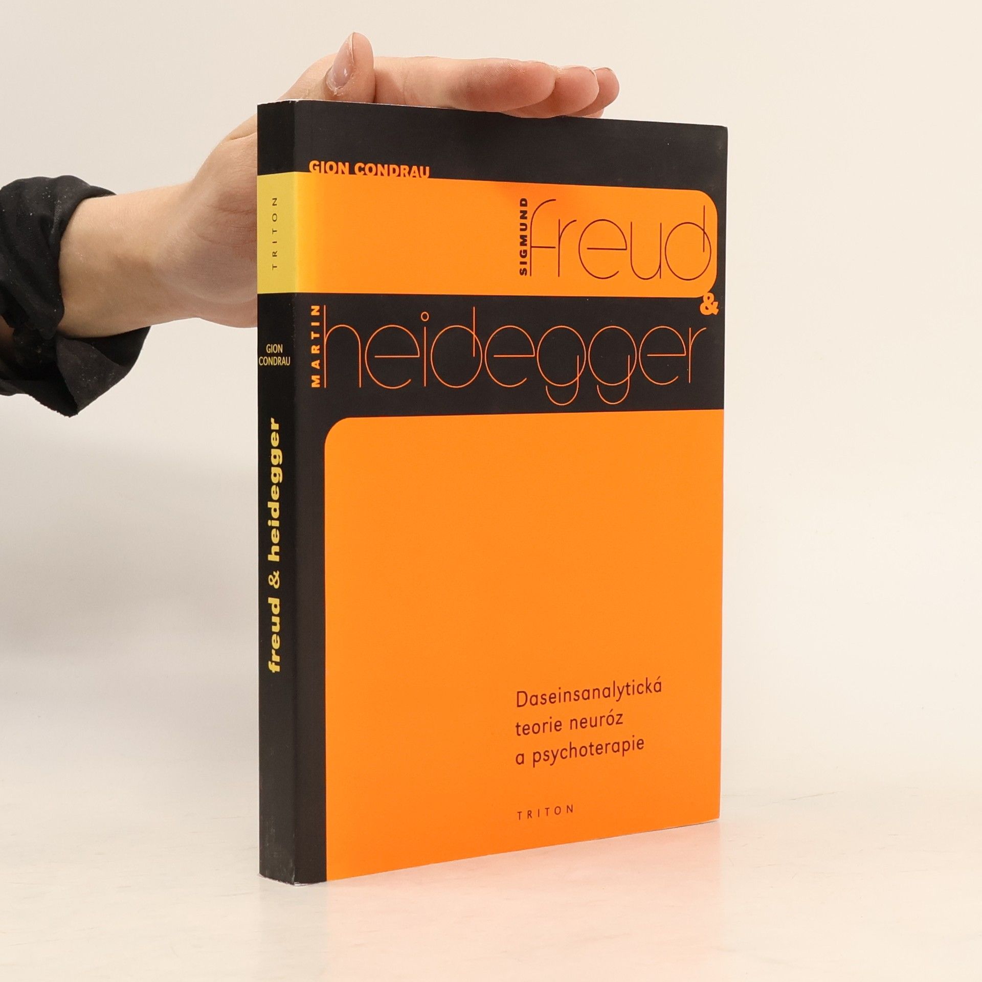 Gion Condrau Sigmund Freud & Martin Heidegger : daseinsanalytická teorie neuróz a psychoterapie