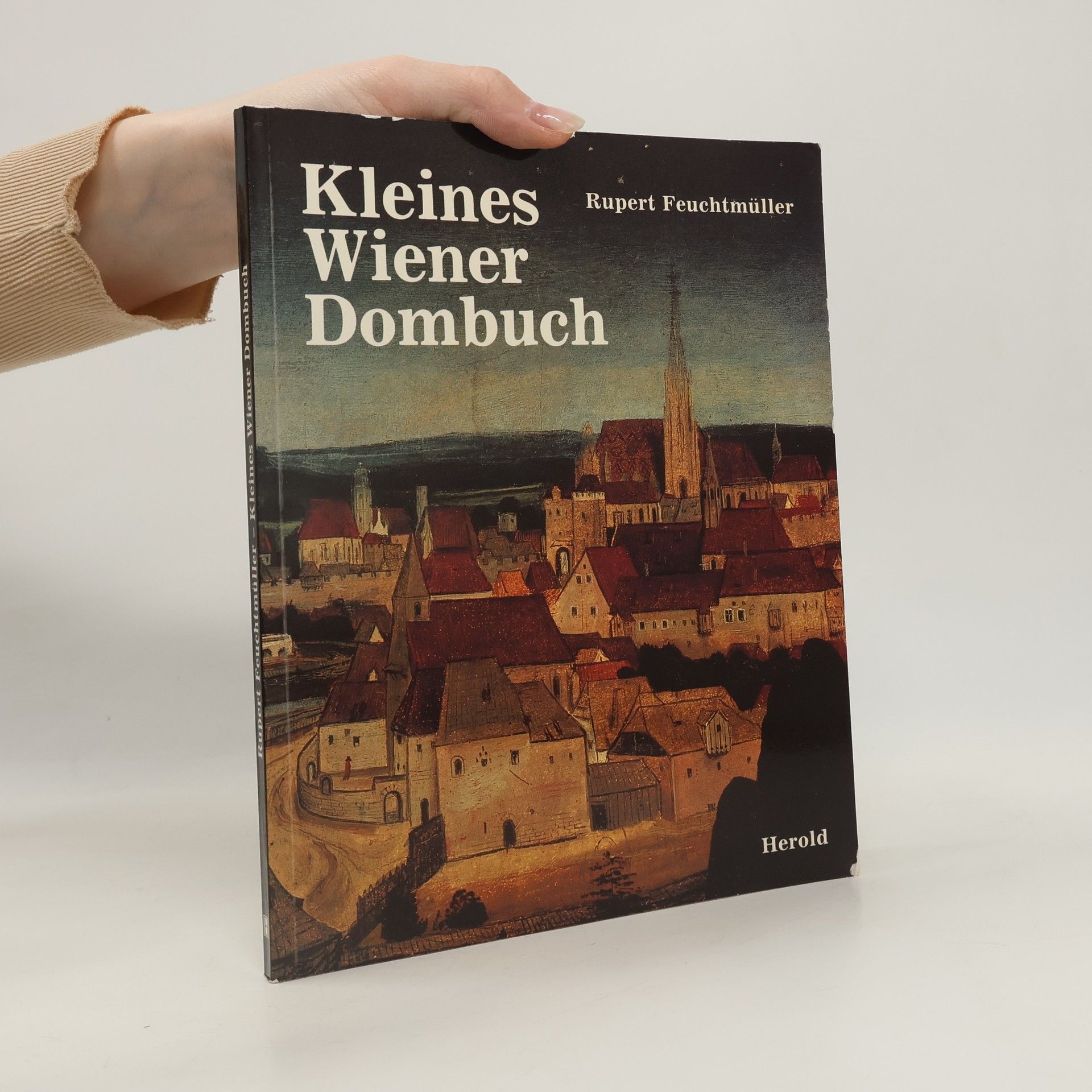Kleines Wiener Dombuch