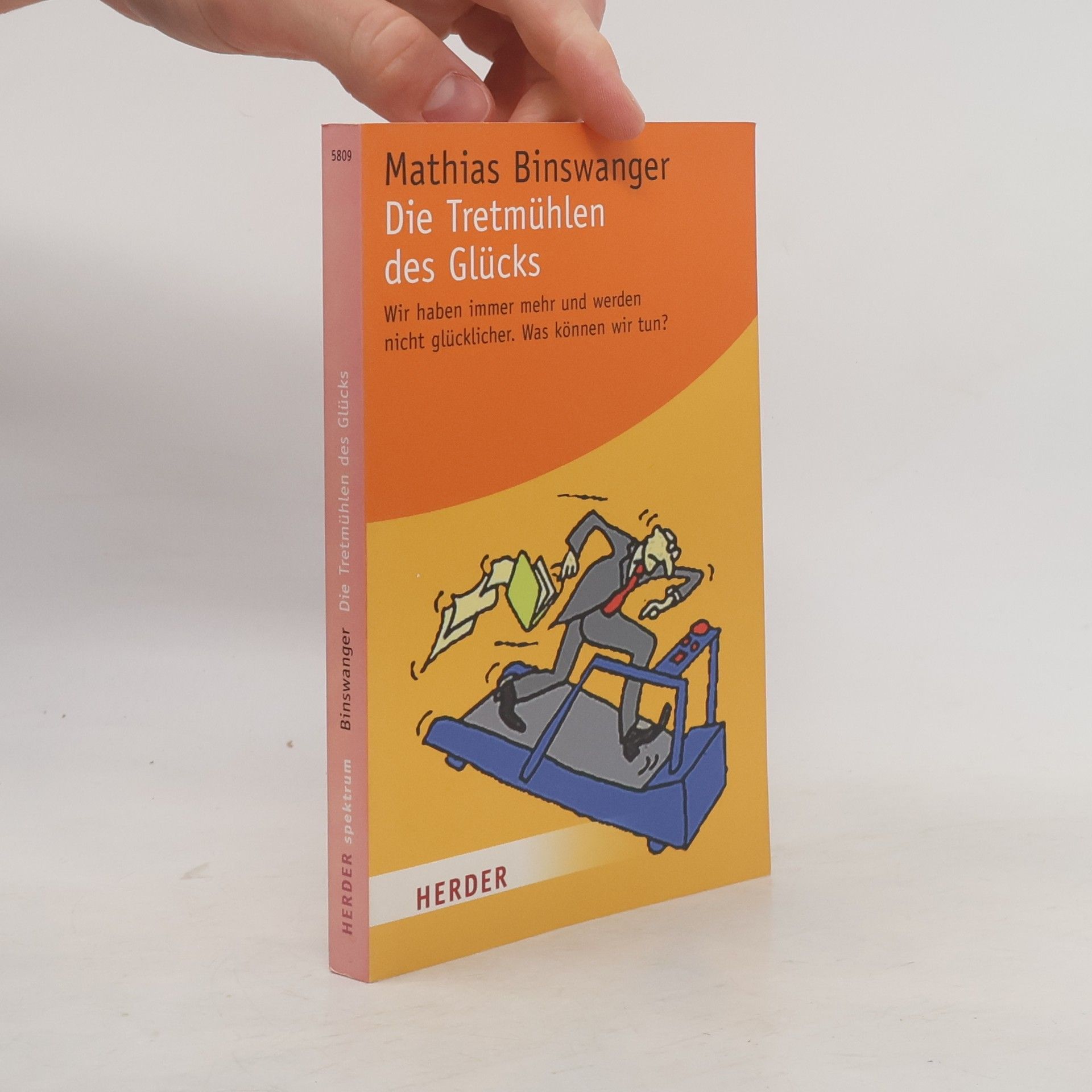Mathias Binswanger Die Tretmühlen des Glücks