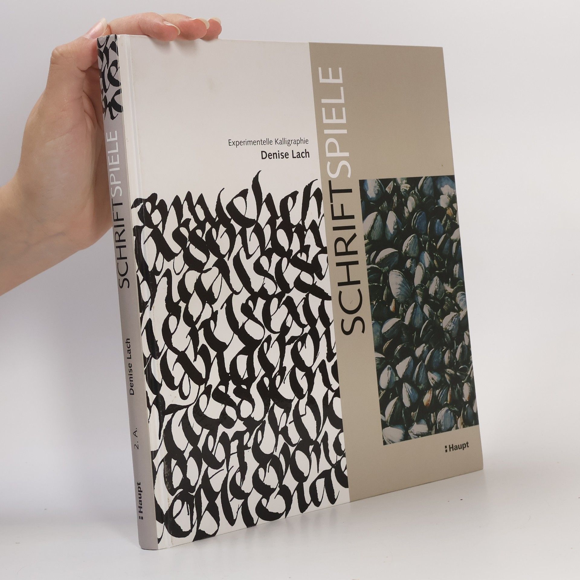 Denise Lach Schriftspiele